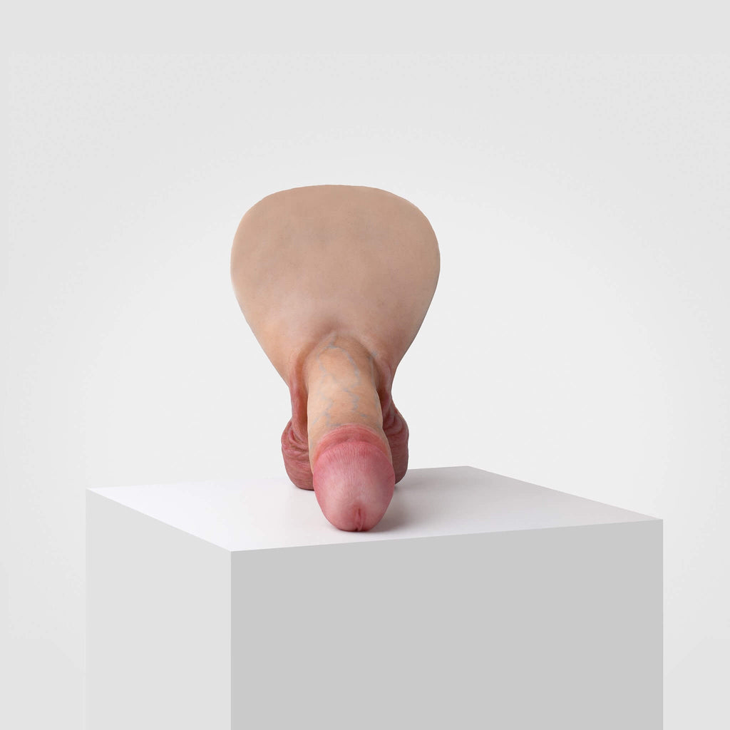 Emisil ER01 | Realistic Anatomical Pack & Play Model