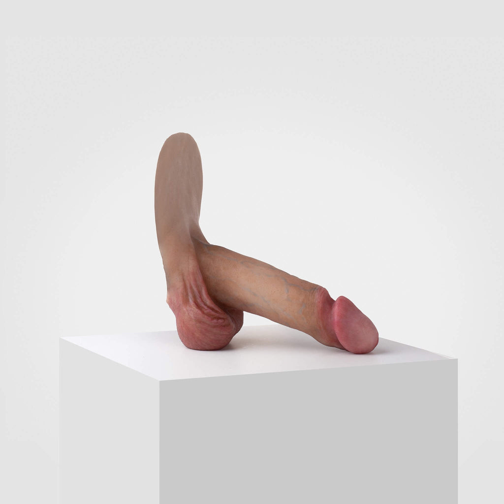 Emisil ER01 | Realistic Anatomical Pack & Play Model