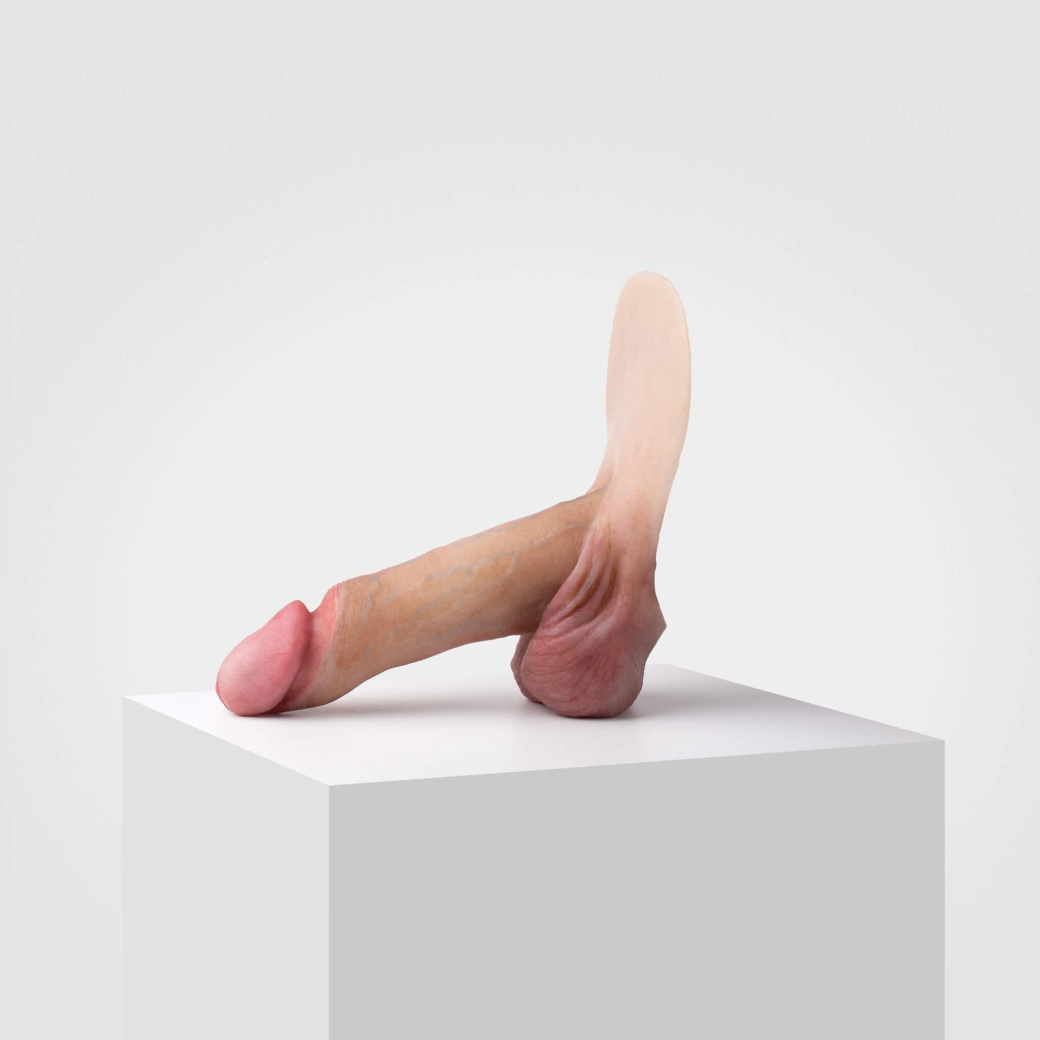 Emisil ER01 | Realistic Anatomical Pack & Play Model