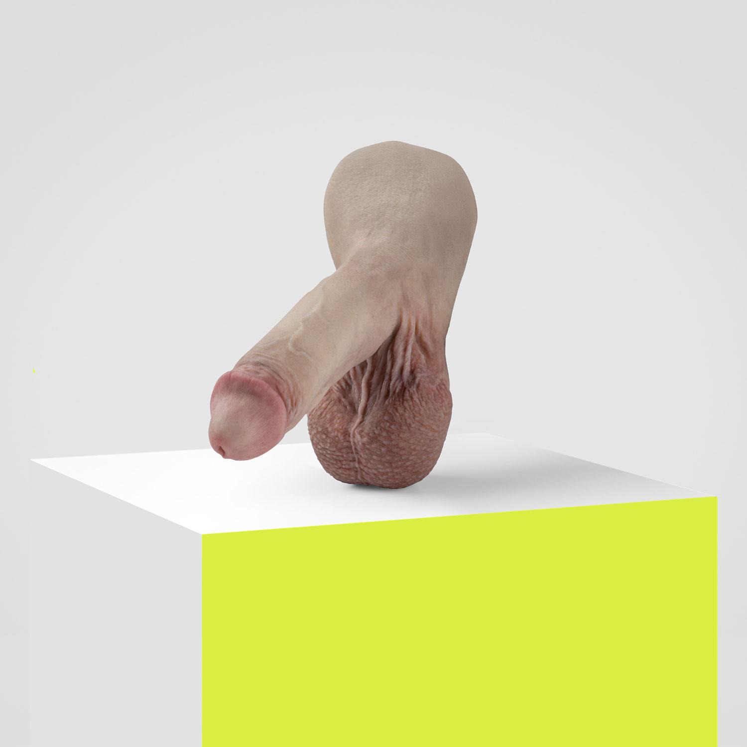Emisil ER05 | Bold Hyper-Realistic Pack & Play Model