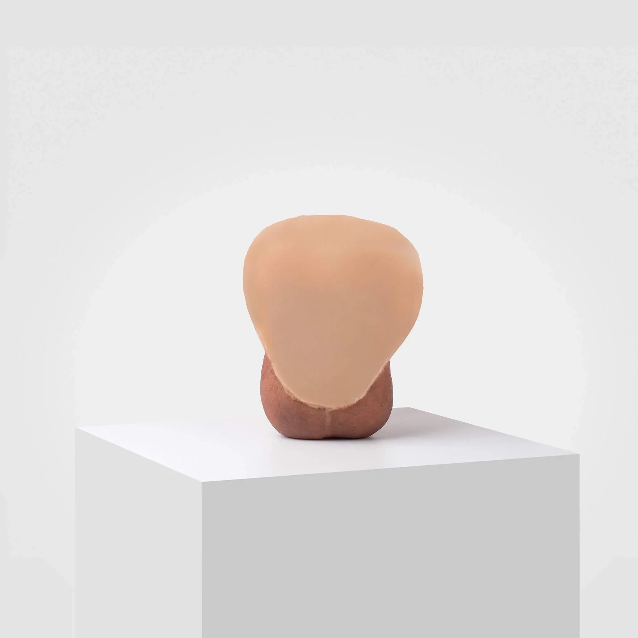 Emisil ER12 | Large Realistic FTM Pack & Play Model