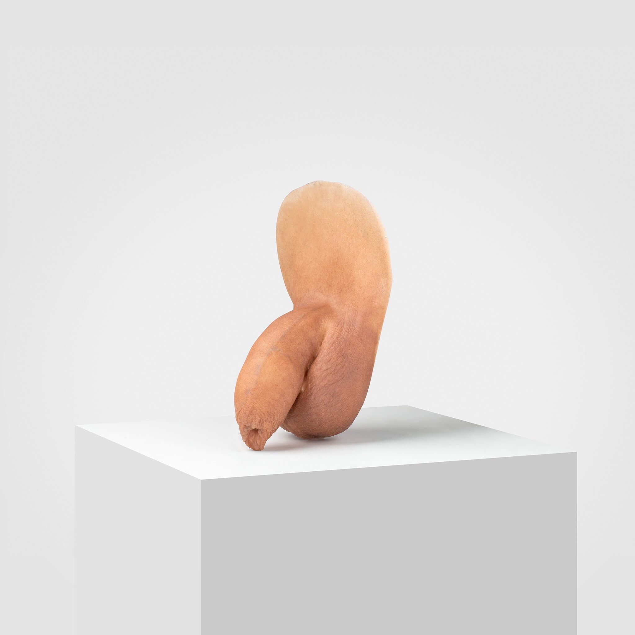 Emisil FL05 | Realistic Uncut FTM Packing Model — S05