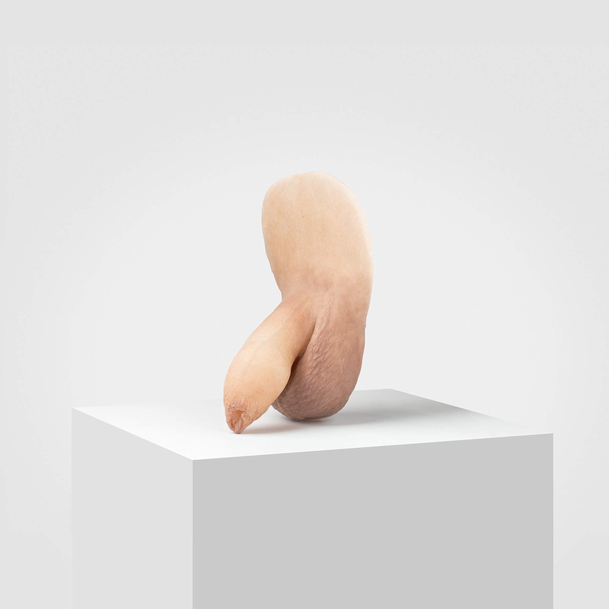 Emisil FL05 | Realistic Uncut FTM Packing Model — S06