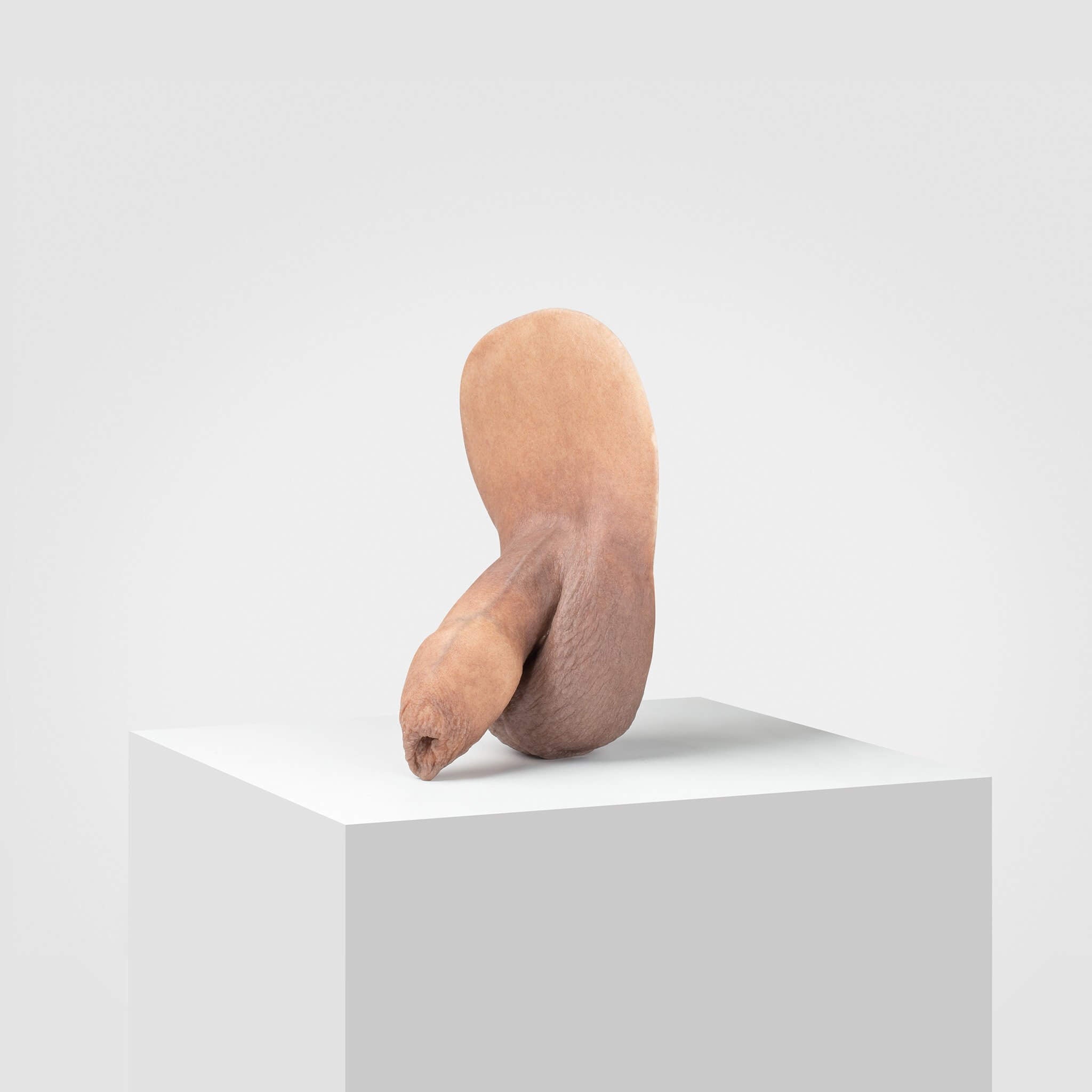 Emisil FL05 | Realistic Uncut FTM Packing Model — S07