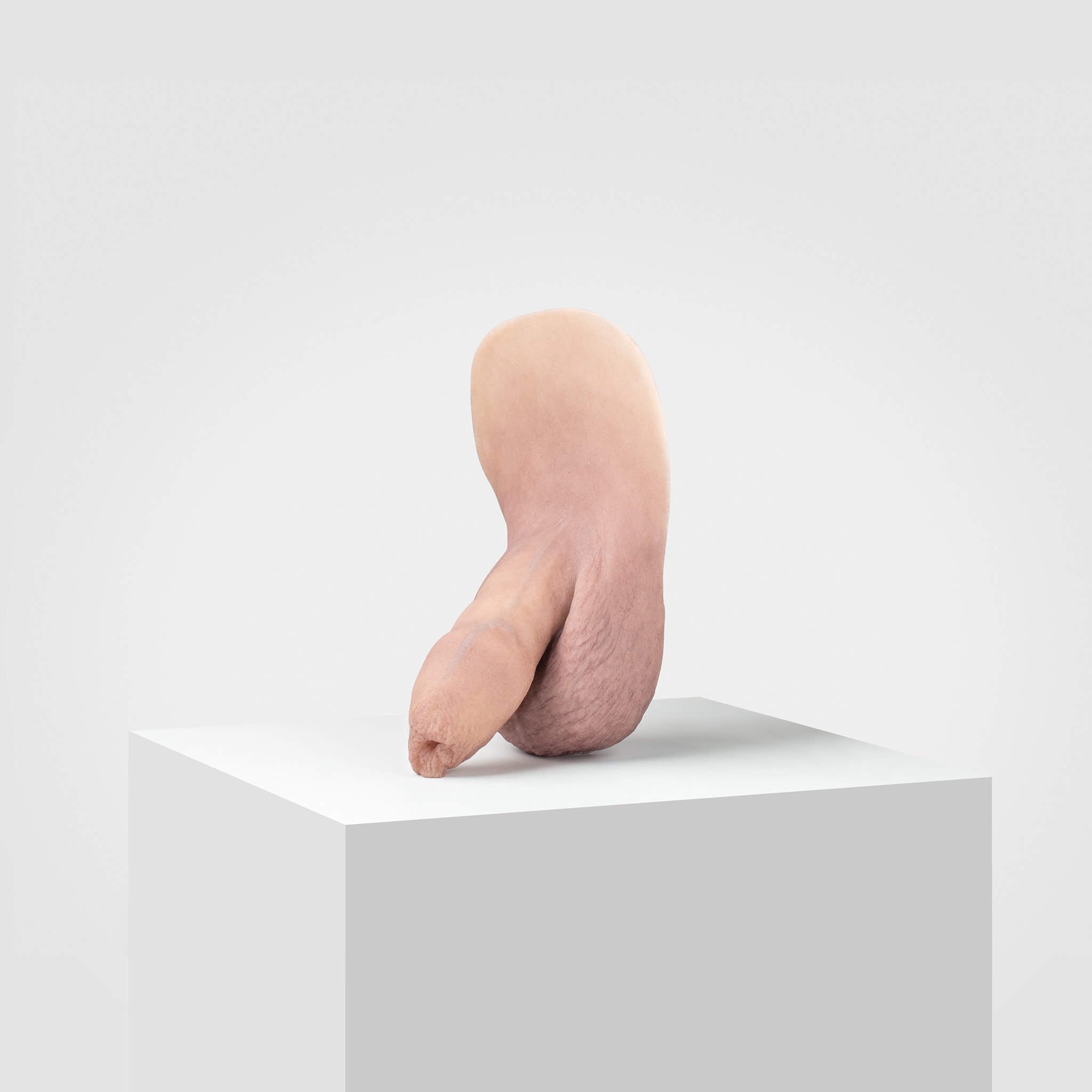 Emisil FL05 | Realistic Uncut FTM Packing Model — S08