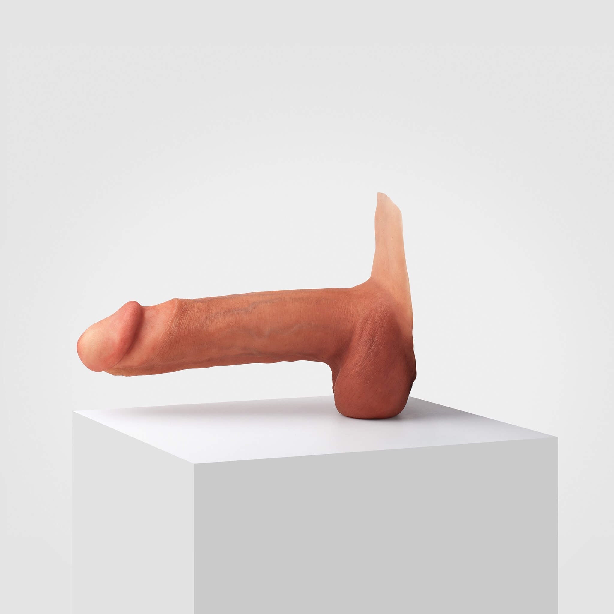 Emisil ER12 | Large Realistic FTM Pack & Play Model — S13
