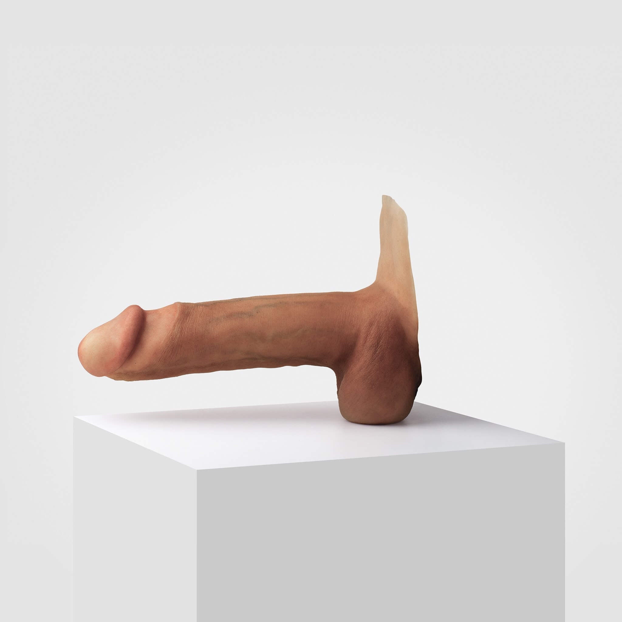 Emisil ER12 | Large Realistic FTM Pack & Play Model — S14