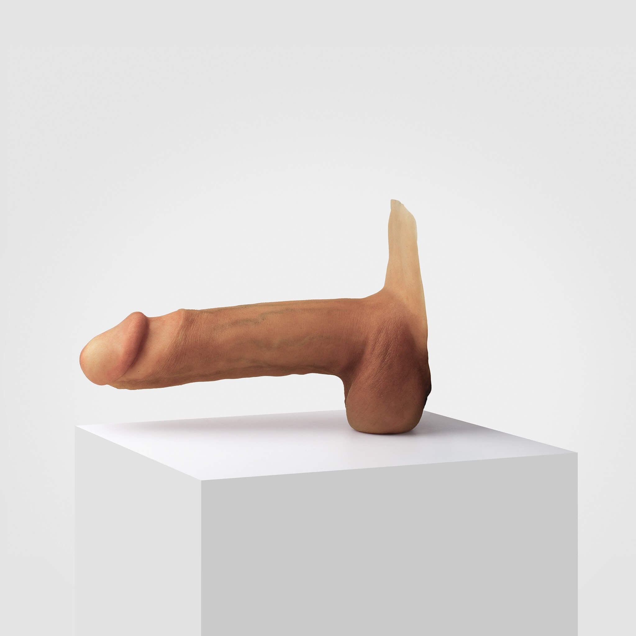 Emisil ER12 | Large Realistic FTM Pack & Play Model — S15