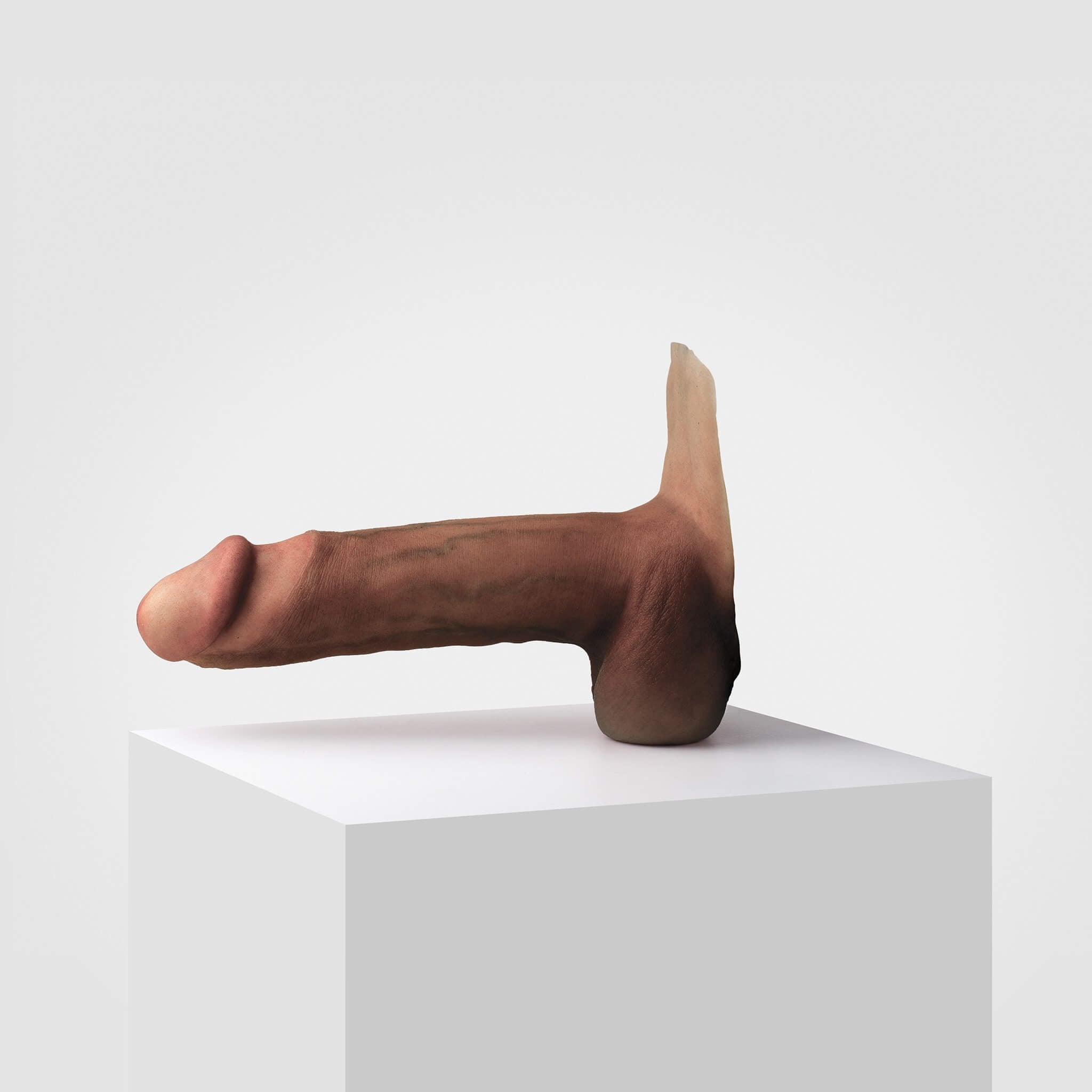 Emisil ER12 | Large Realistic FTM Pack & Play Model — S16