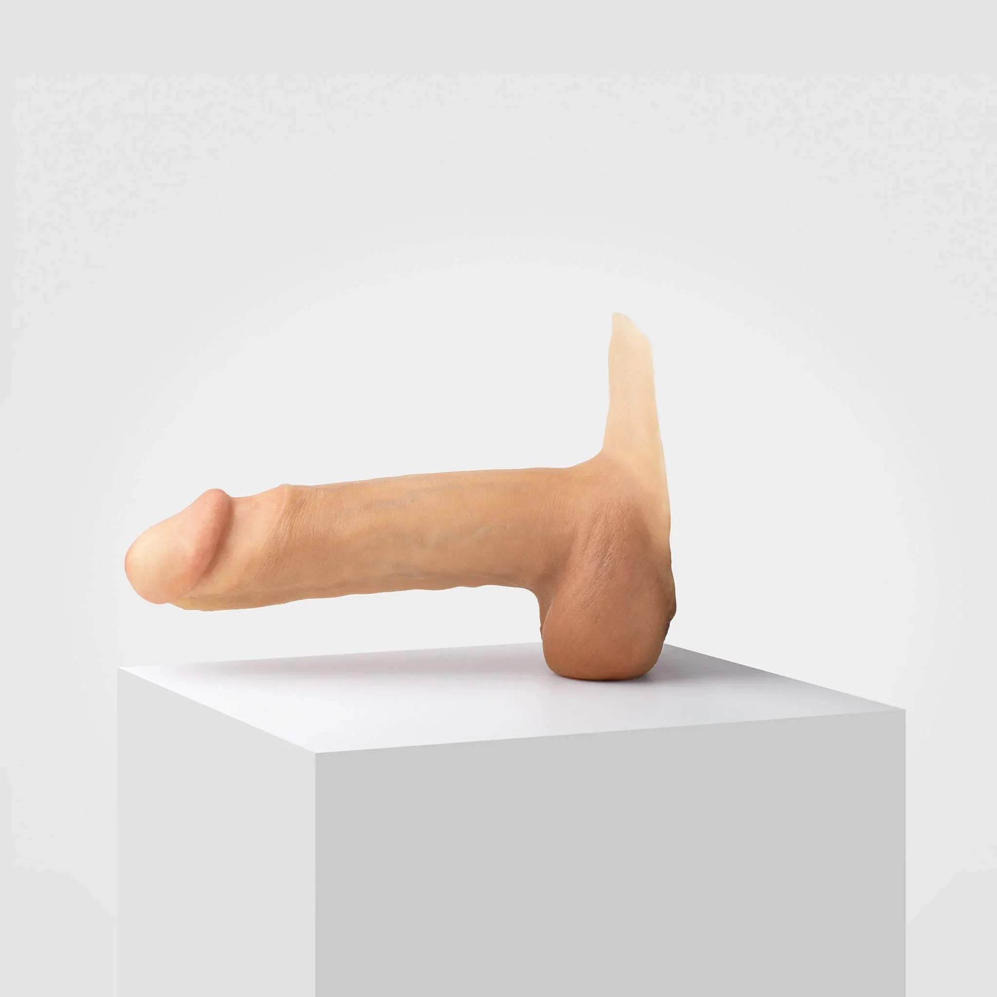 Emisil ER12 | Large Realistic FTM Pack & Play Model — S03