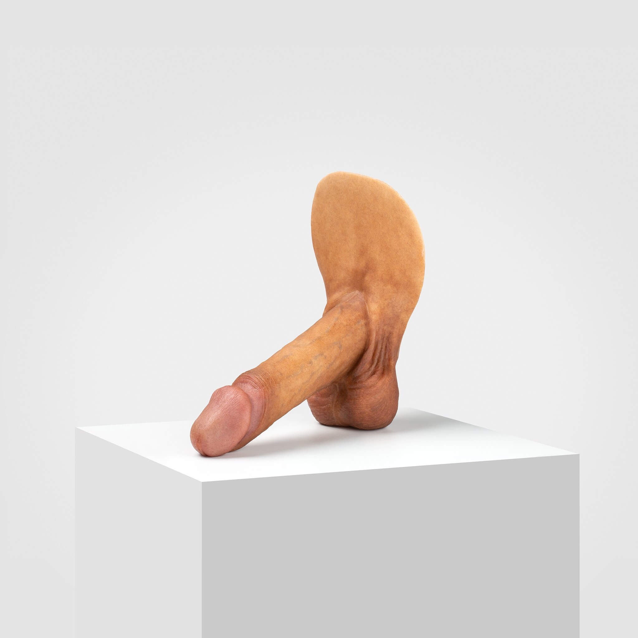 Emisil ER01 | Realistic Anatomical Pack & Play Model — S05