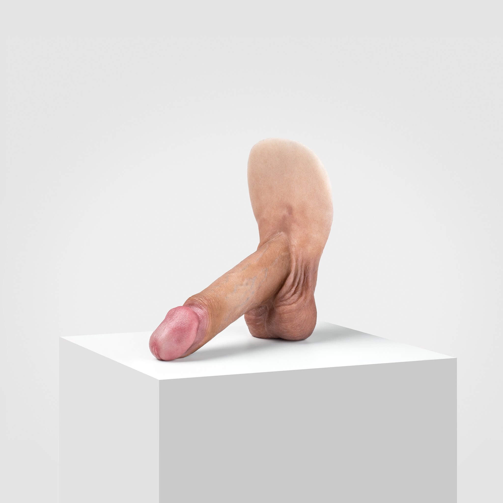 Emisil ER01 | Realistic Anatomical Pack & Play Model — S08