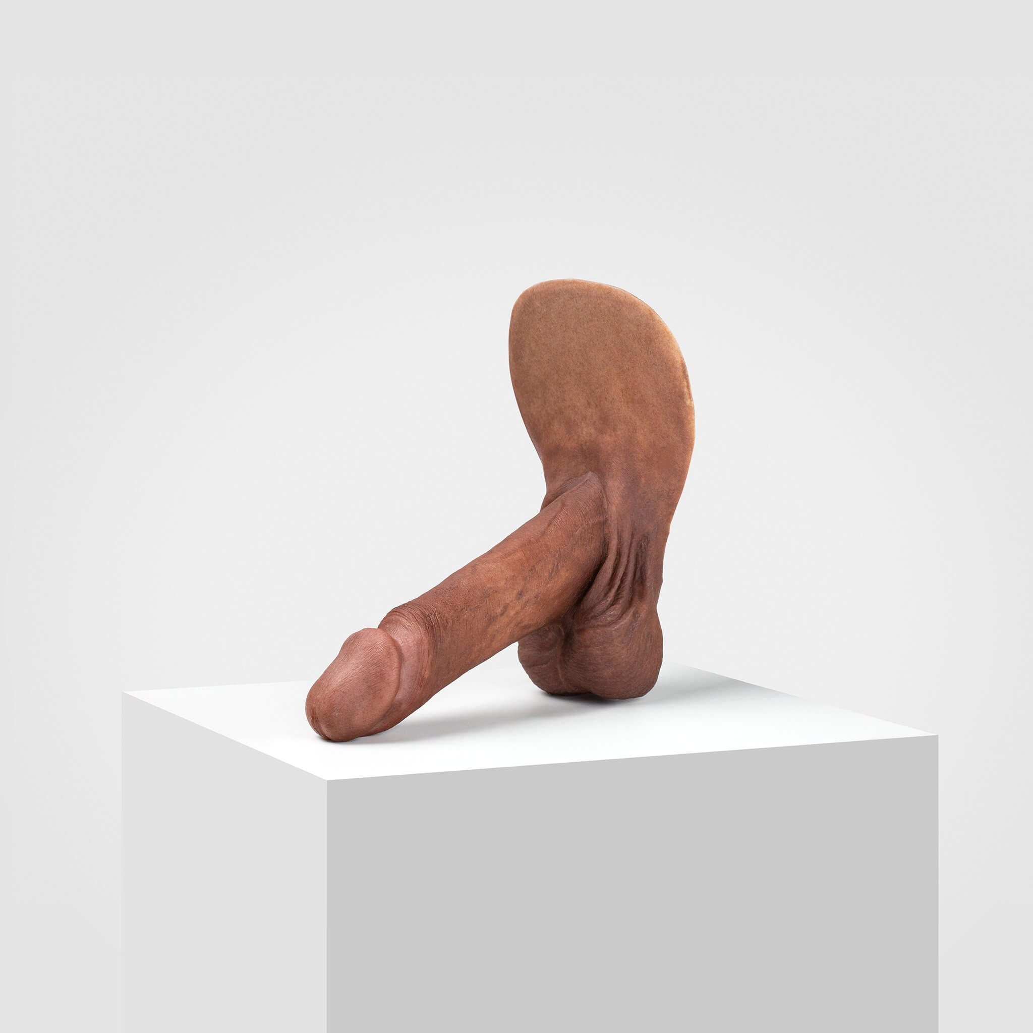 Emisil ER01 | Realistic Anatomical Pack & Play Model — S11