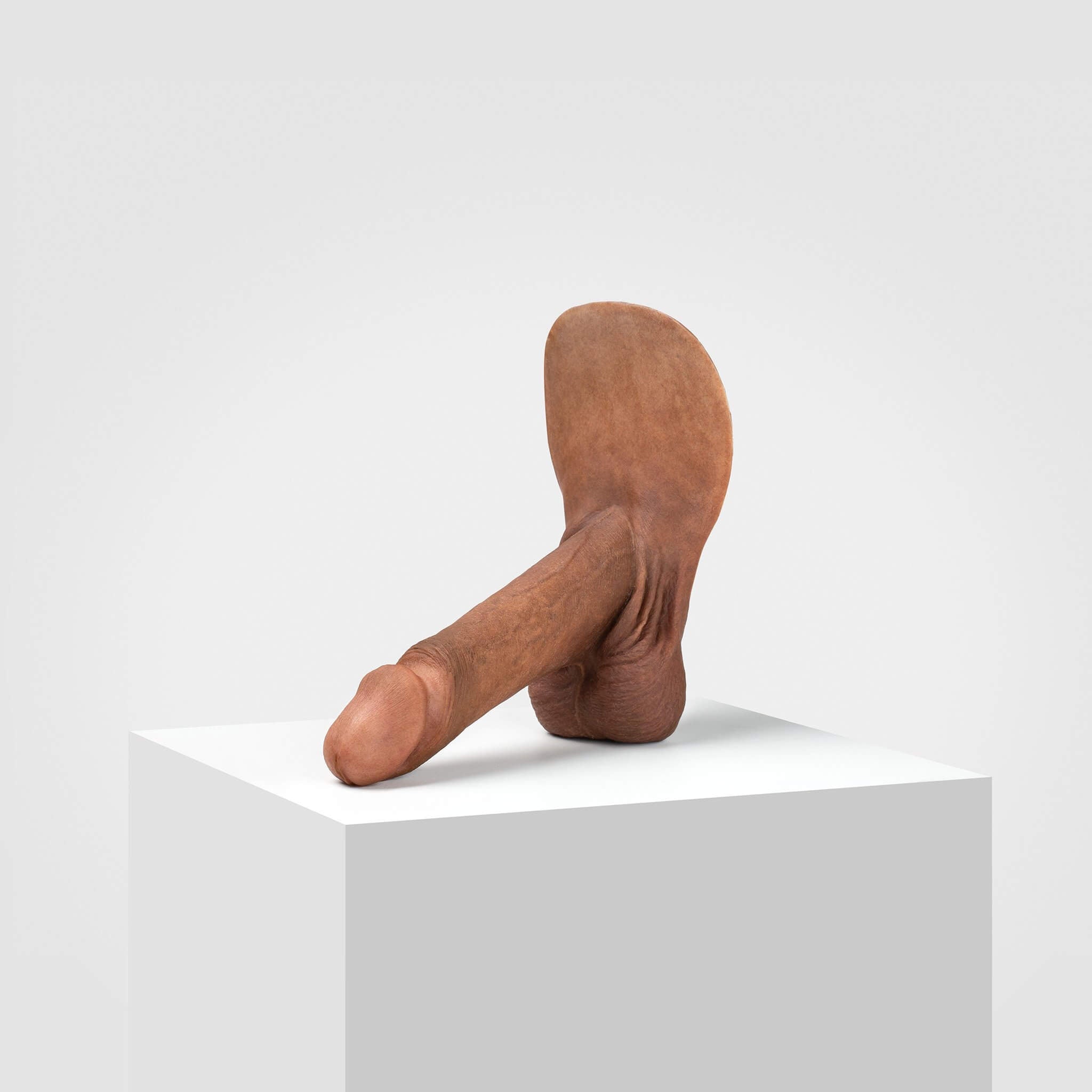Emisil ER01 | Realistic Anatomical Pack & Play Model — S12