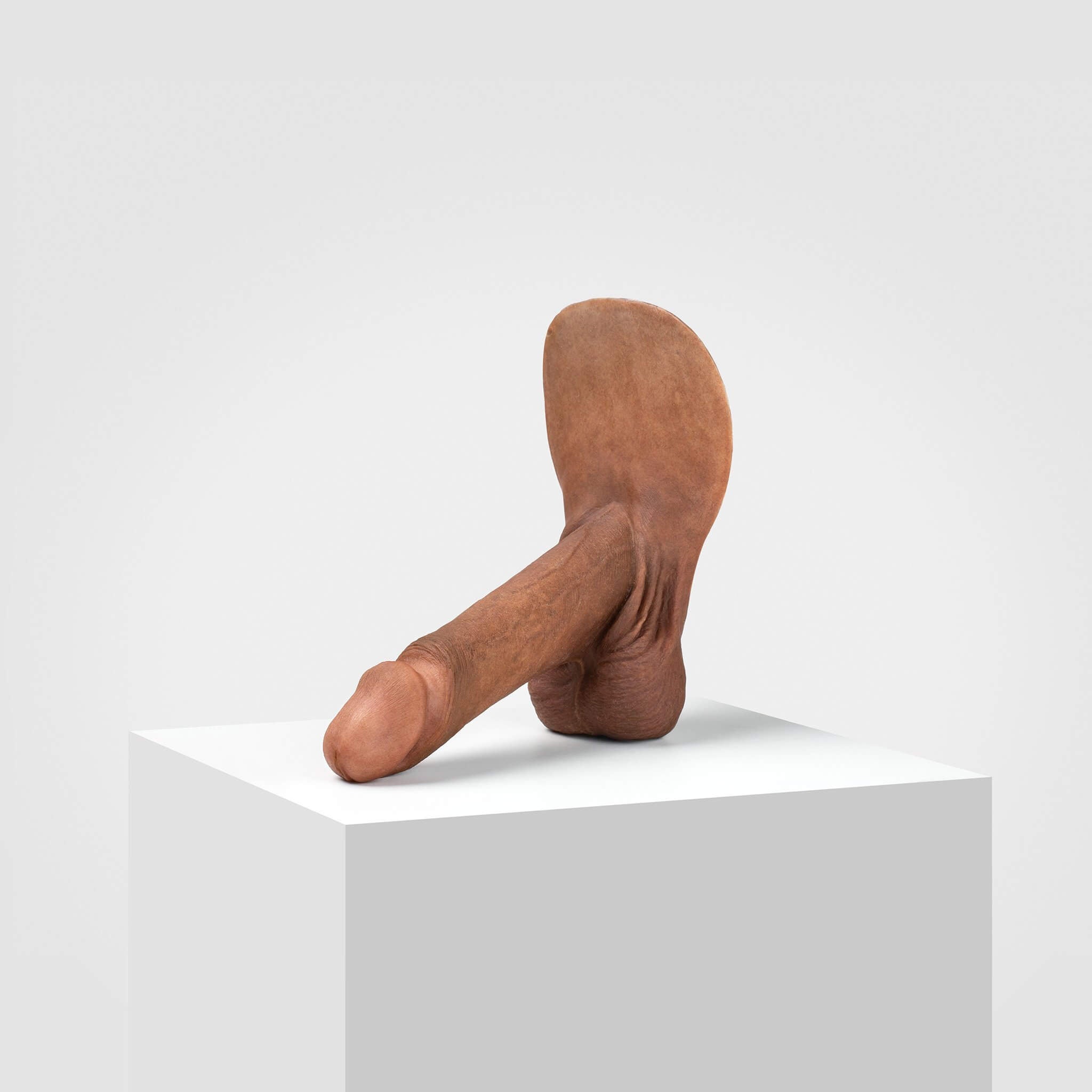 Emisil ER01 | Realistic Anatomical Pack & Play Model — S15