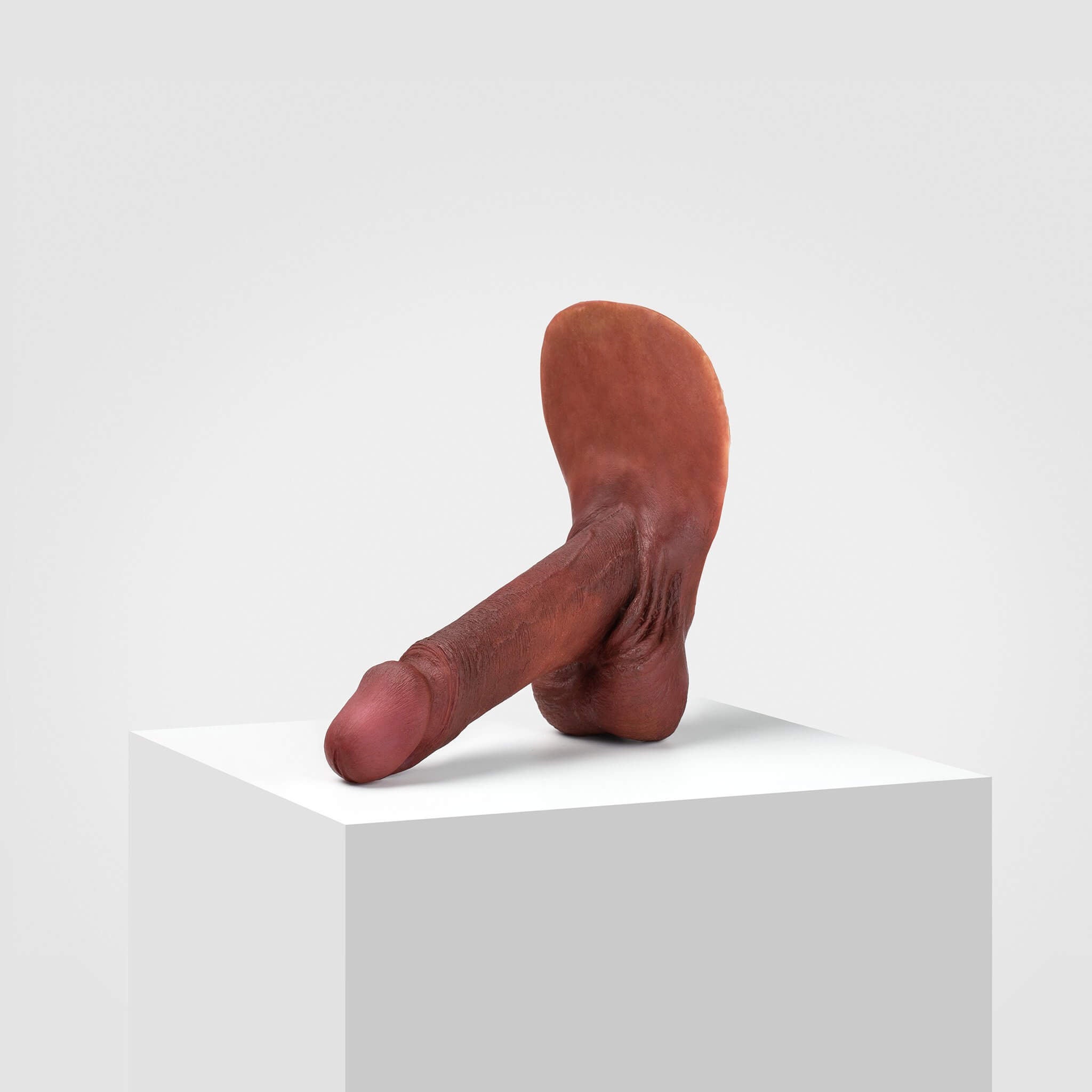 Emisil ER01 | Realistic Anatomical Pack & Play Model — S13