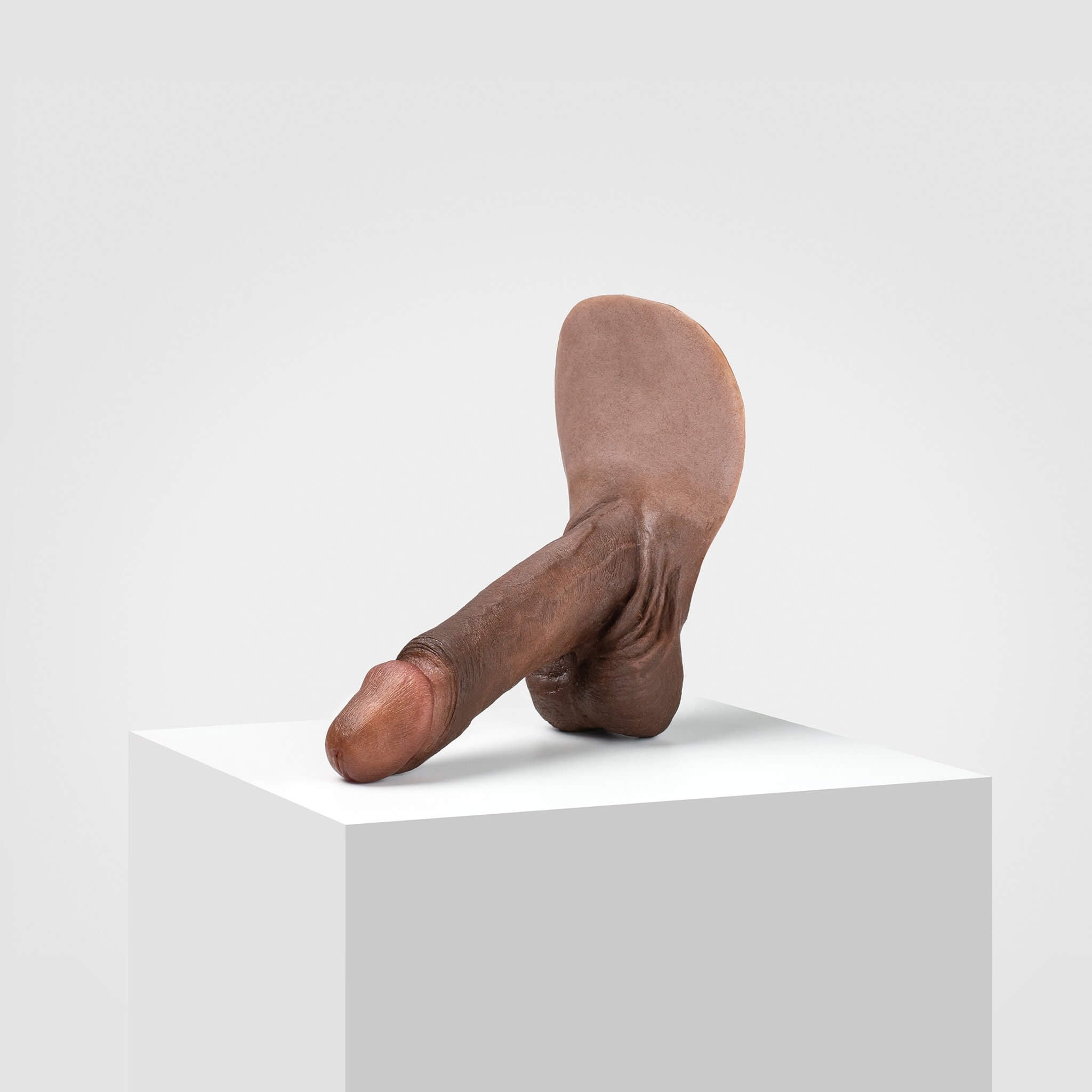Emisil ER01 | Realistic Anatomical Pack & Play Model — S14