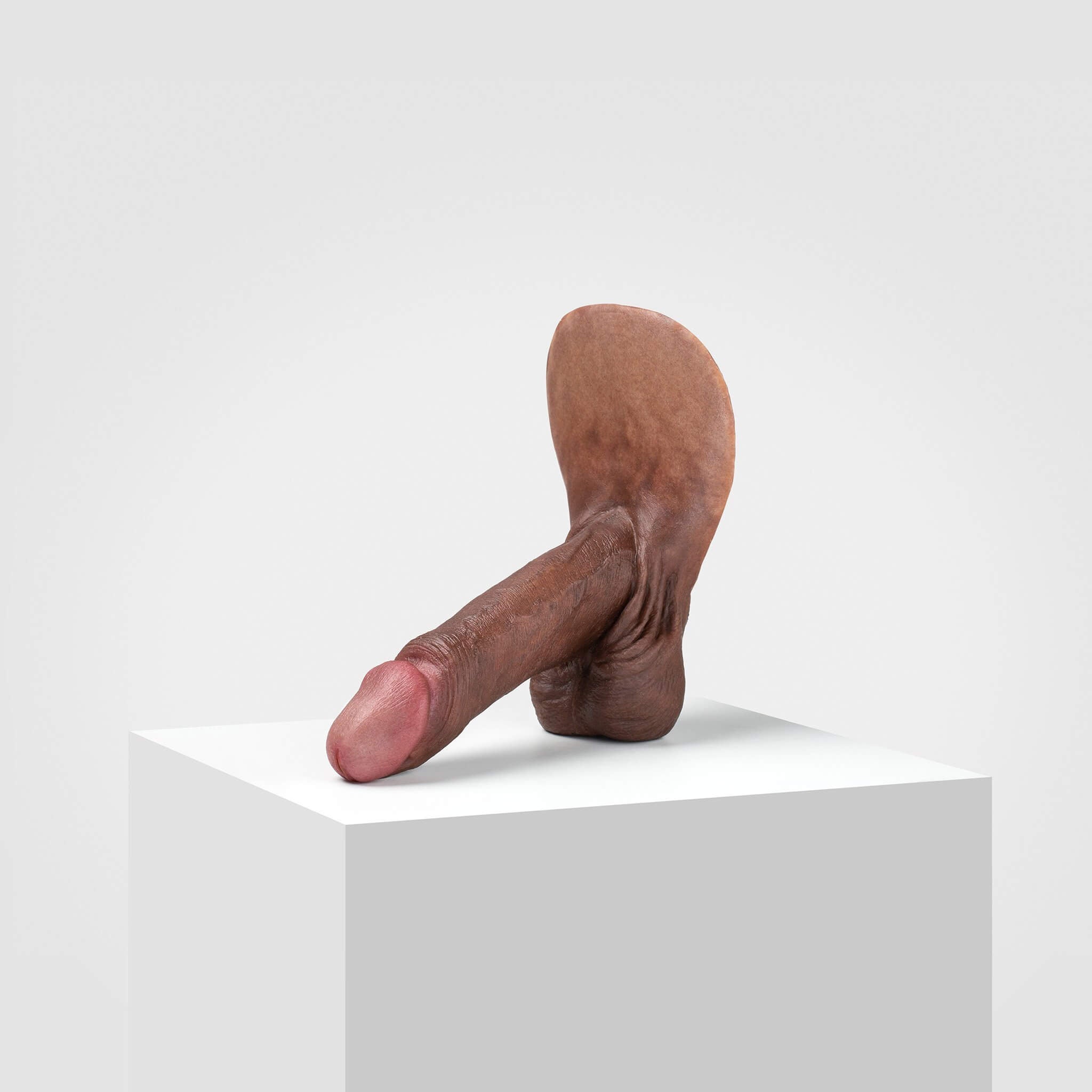 Emisil ER01 | Realistic Anatomical Pack & Play Model — S16