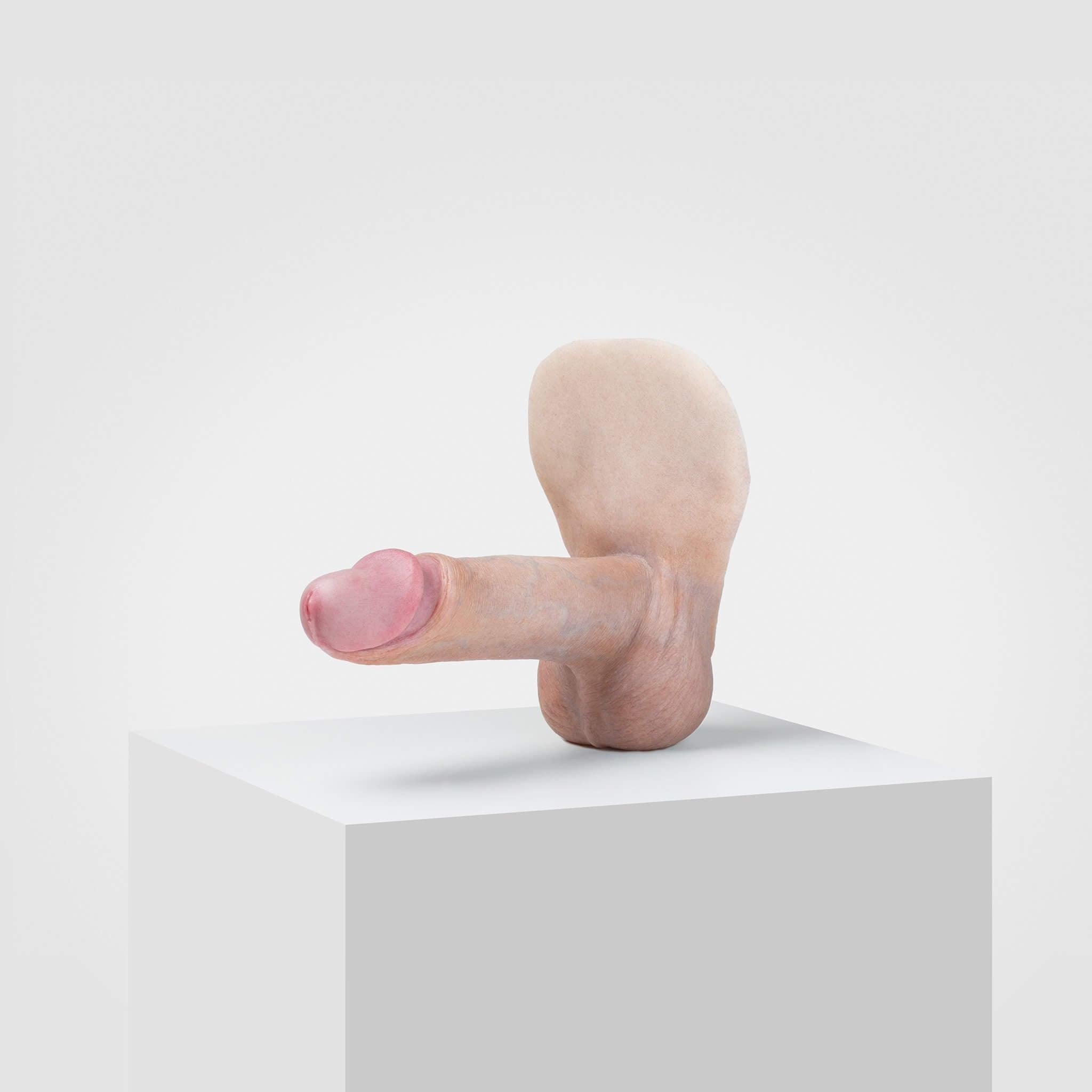 Emisil ER02 | Realistic FTM Pack & Play Model