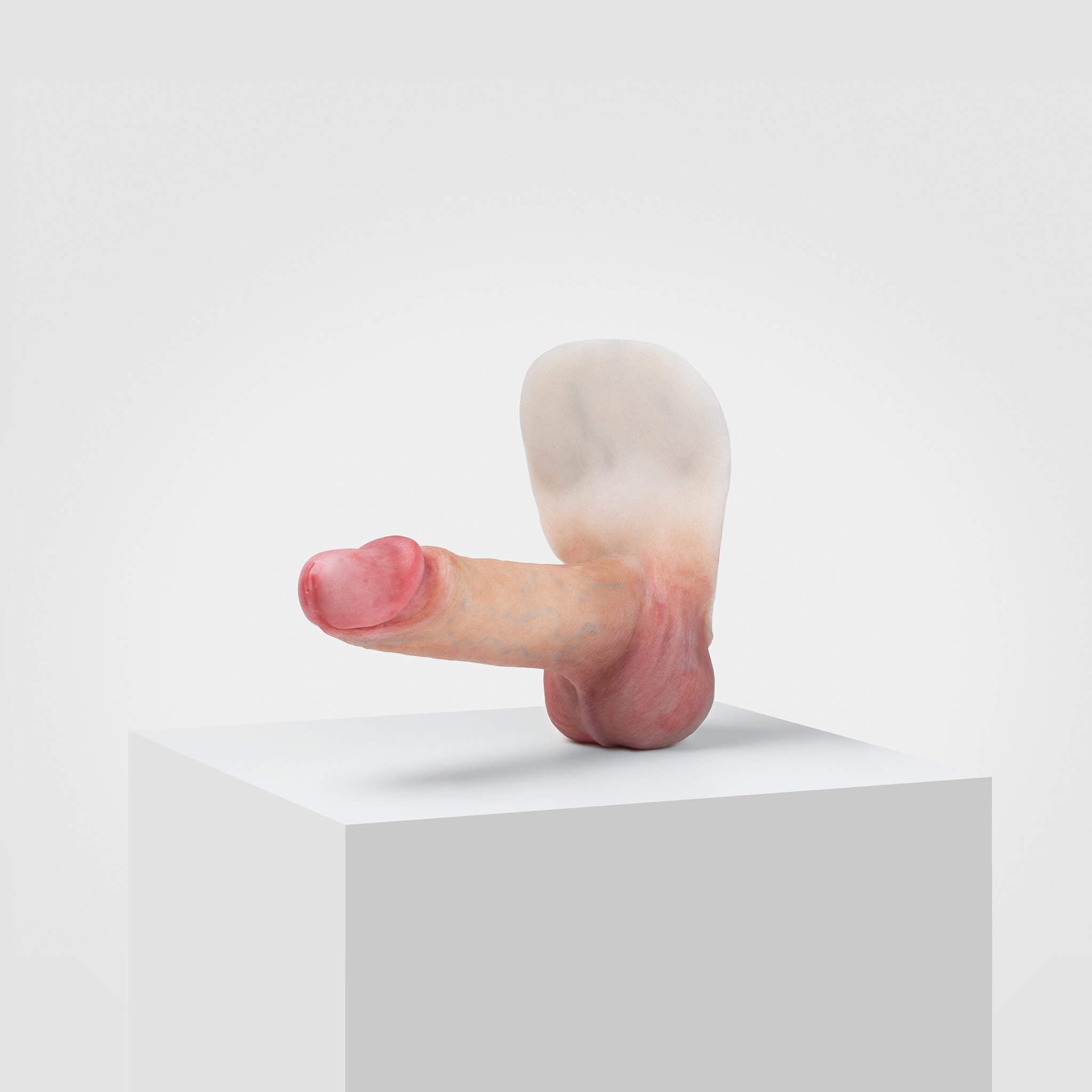 Emisil ER02 | Realistic FTM Pack & Play Model