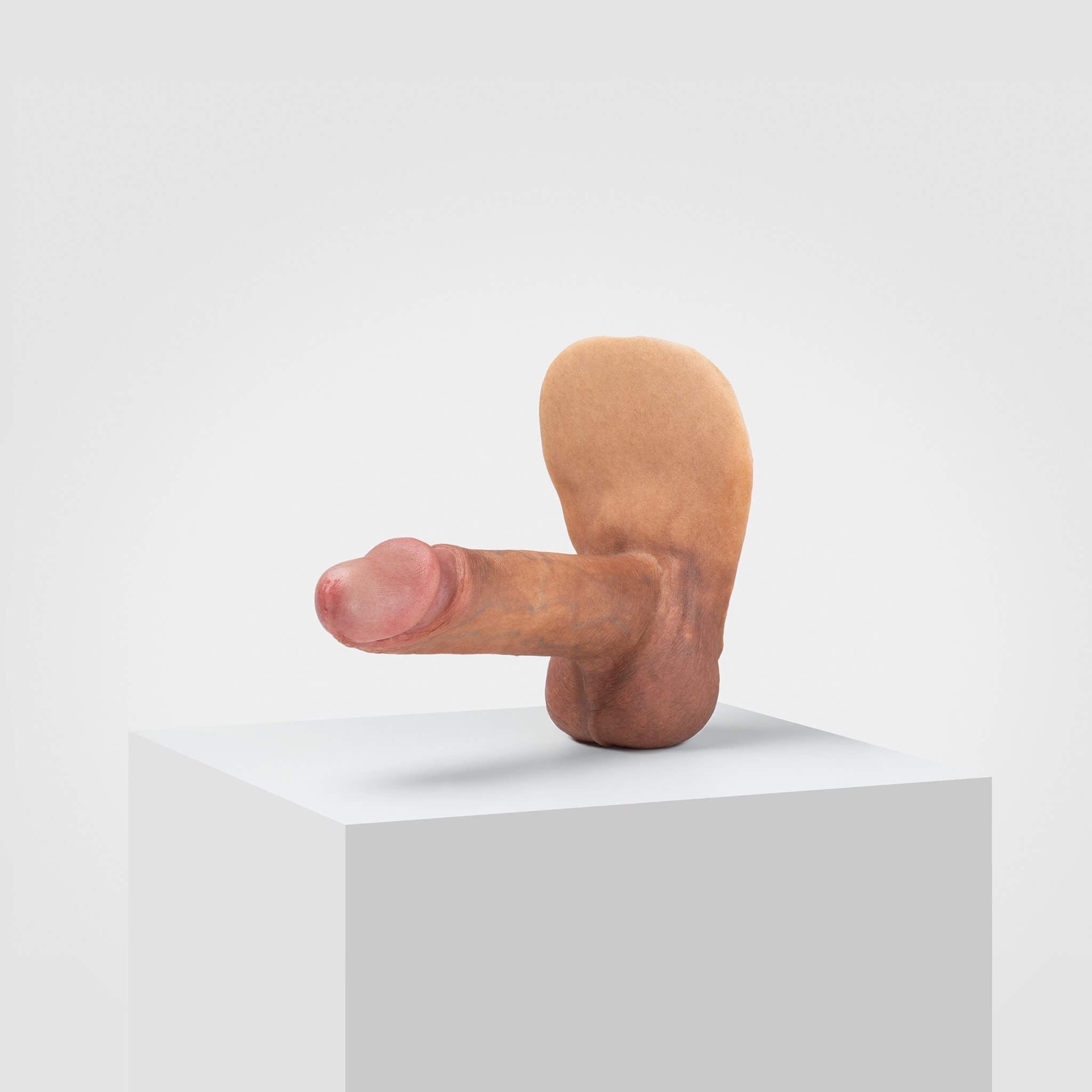 Emisil ER02 | Realistic FTM Pack & Play Model — S04