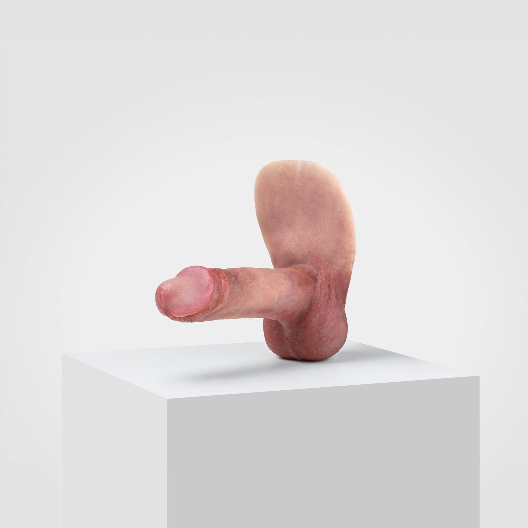 Emisil ER02 | Realistic FTM Pack & Play Model — S09