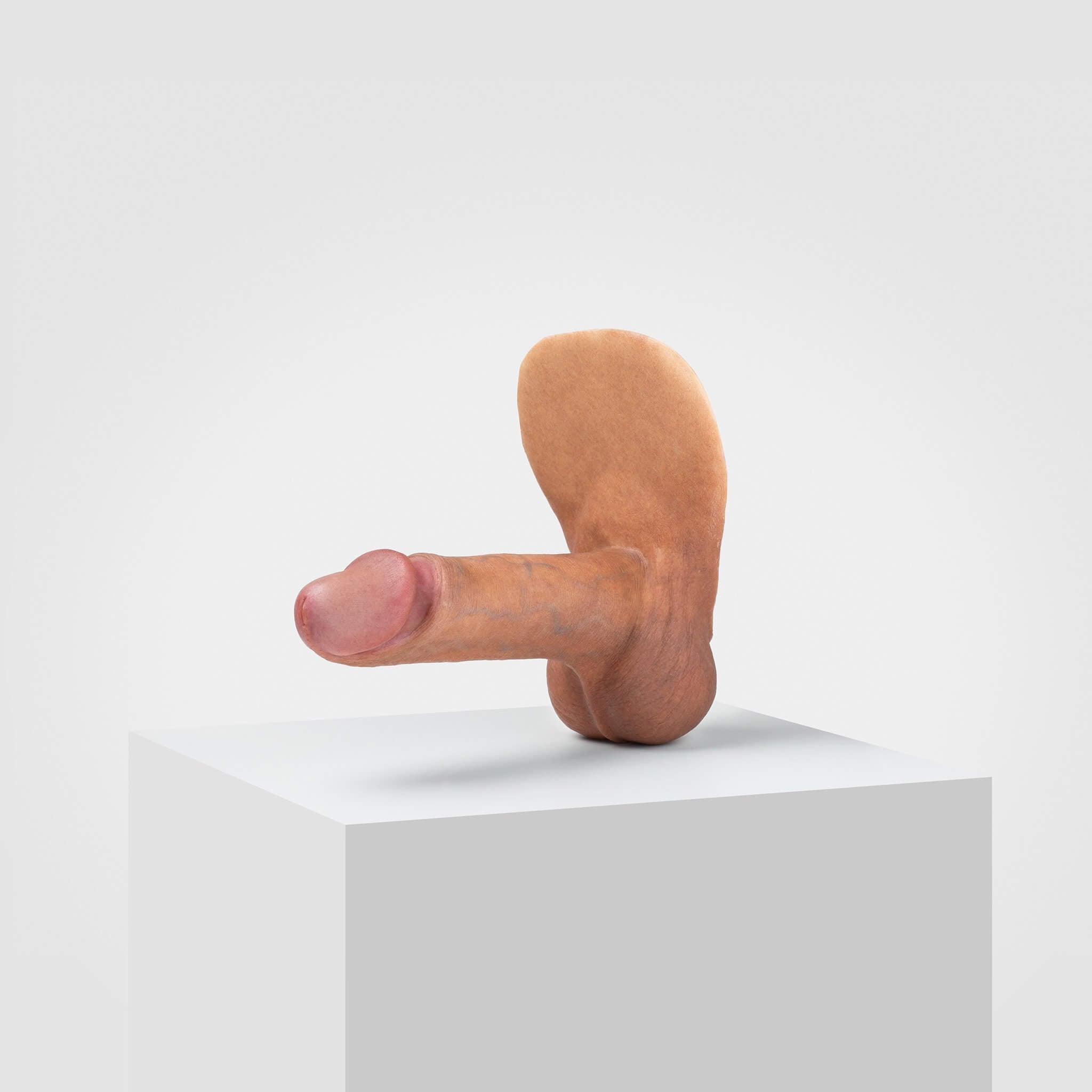 Emisil ER02 | Realistic FTM Pack & Play Model — S10