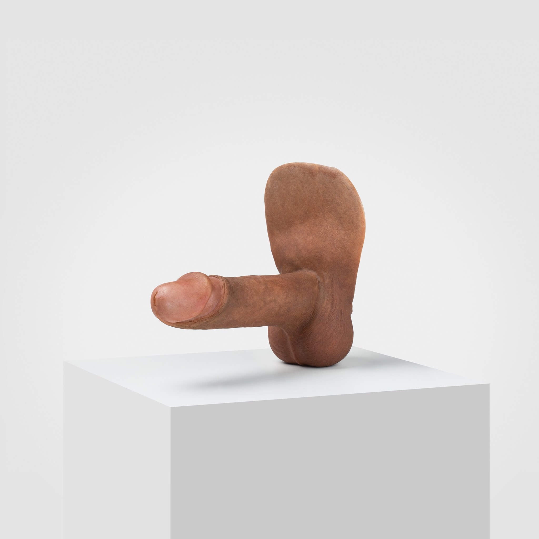 Emisil ER02 | Realistic FTM Pack & Play Model — S12
