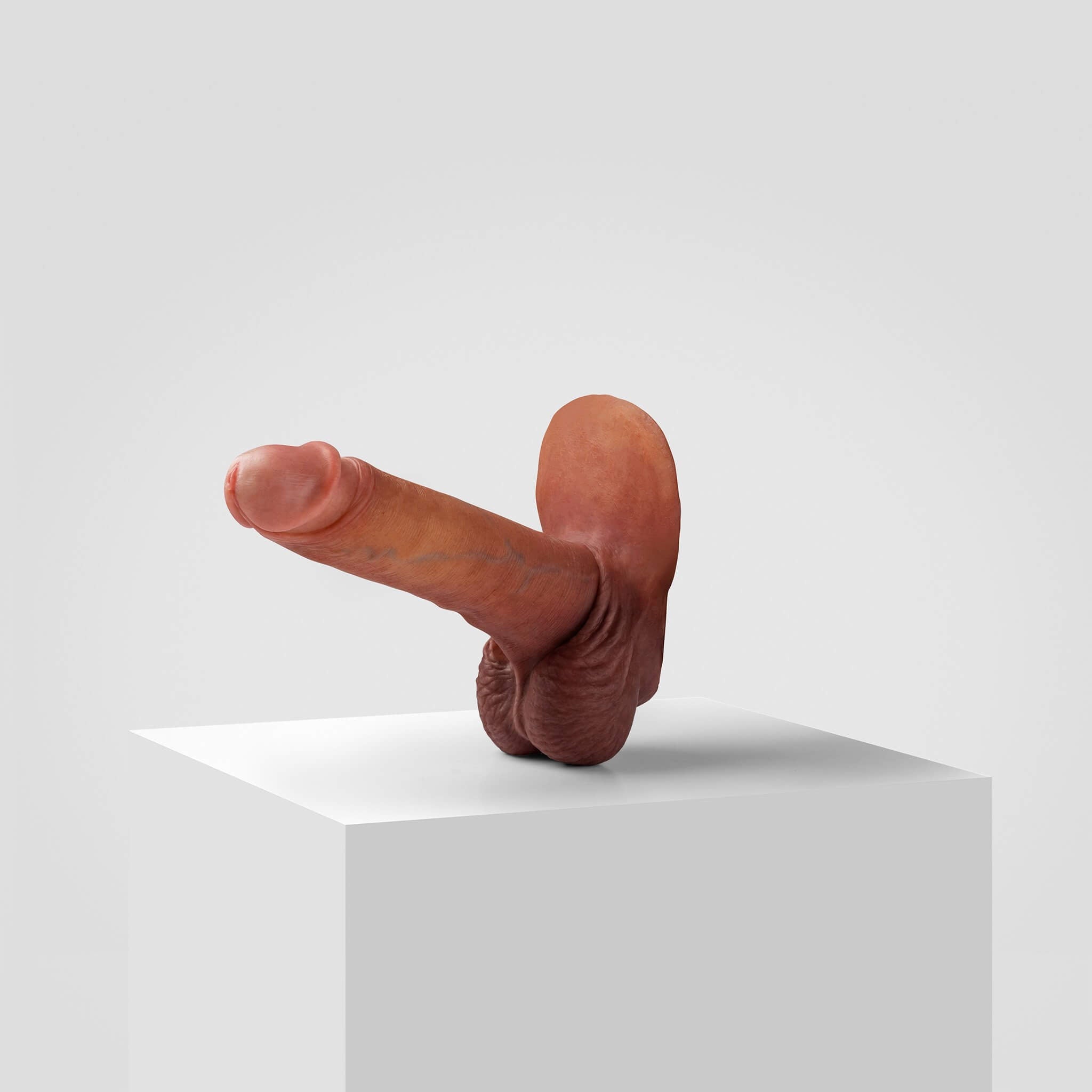 Emisil ER06 | Large Realistic FTM Pack & Play Model — S13