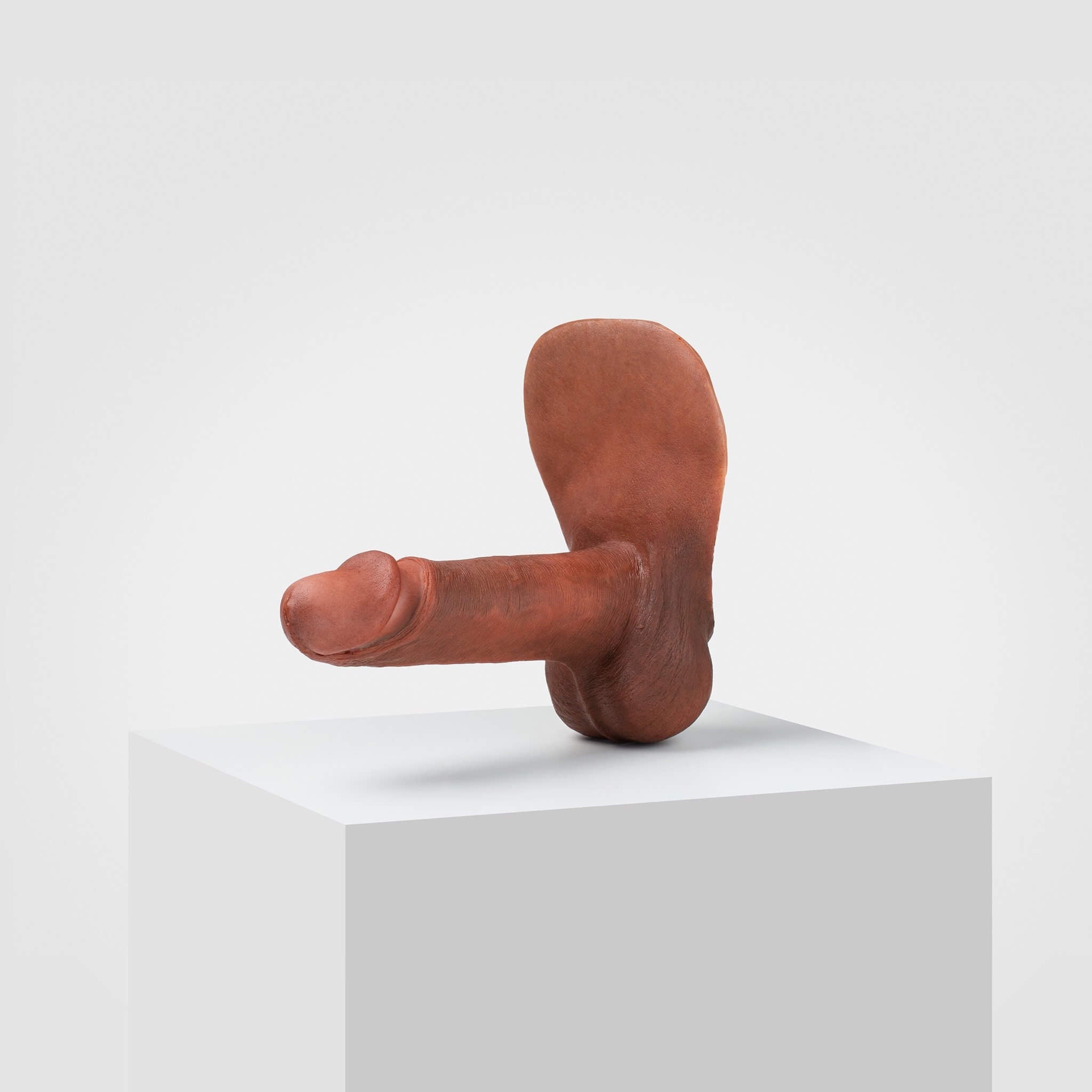 Emisil ER02 | Realistic FTM Pack & Play Model — S13
