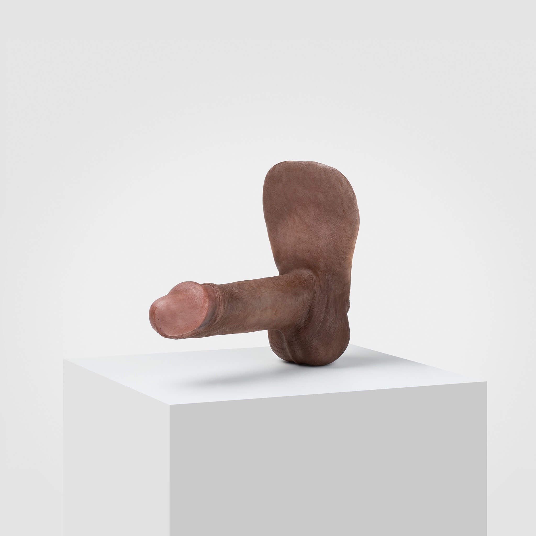 Emisil ER02 | Realistic FTM Pack & Play Model — S14