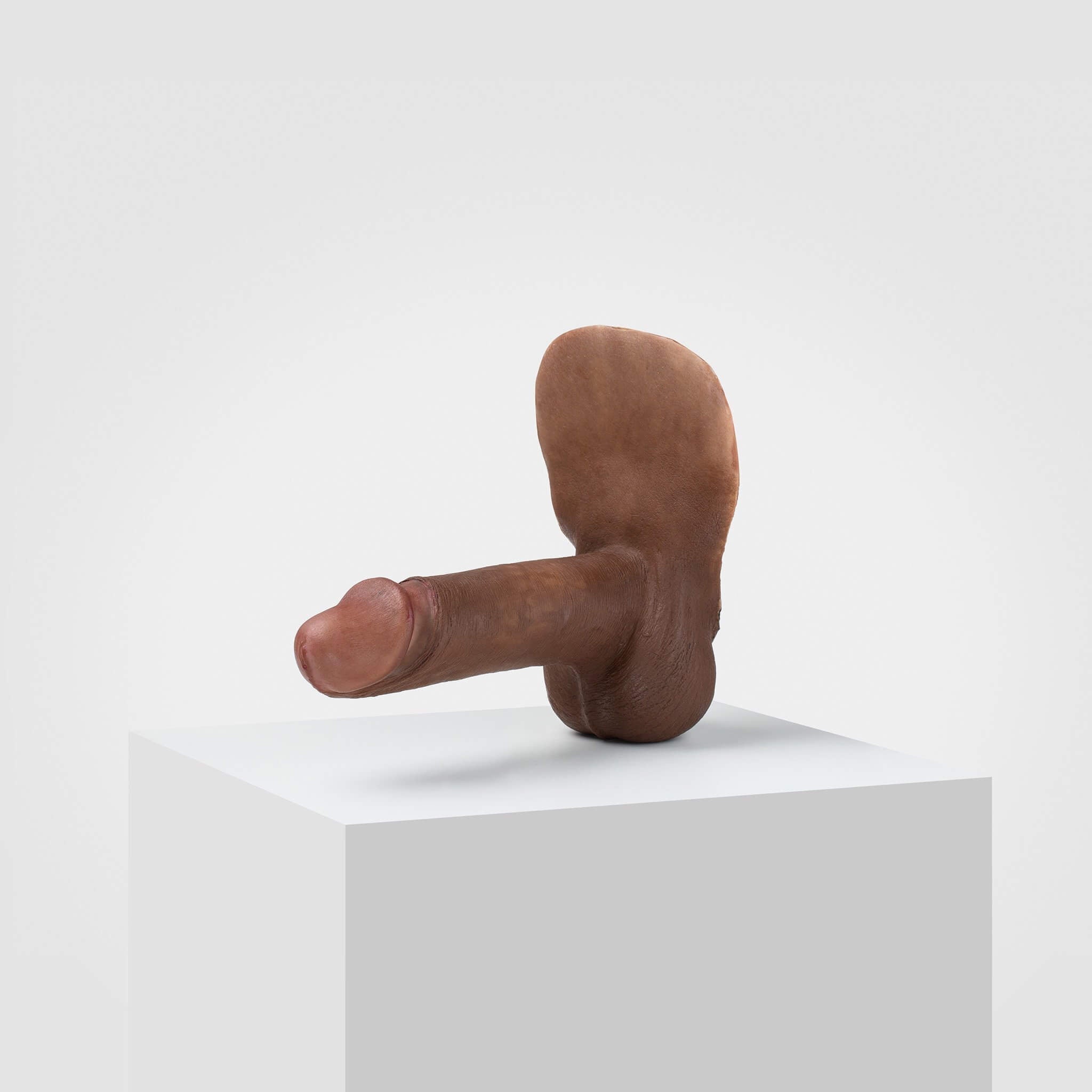 Emisil ER02 | Realistic FTM Pack & Play Model — S15