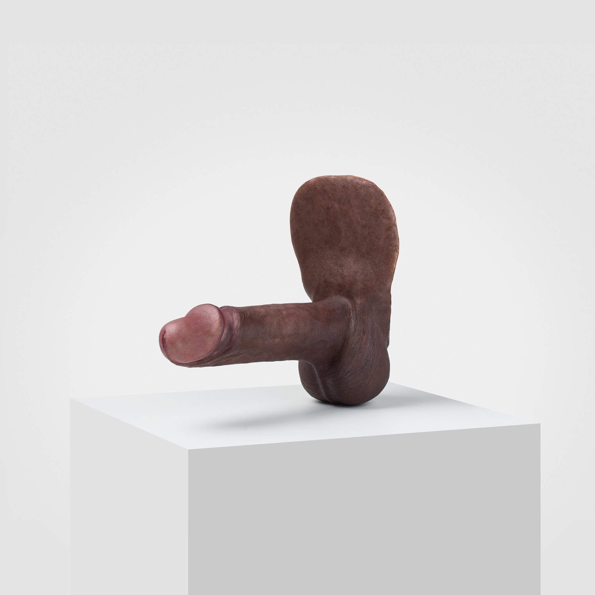 Emisil ER02 | Realistic FTM Pack & Play Model — S16
