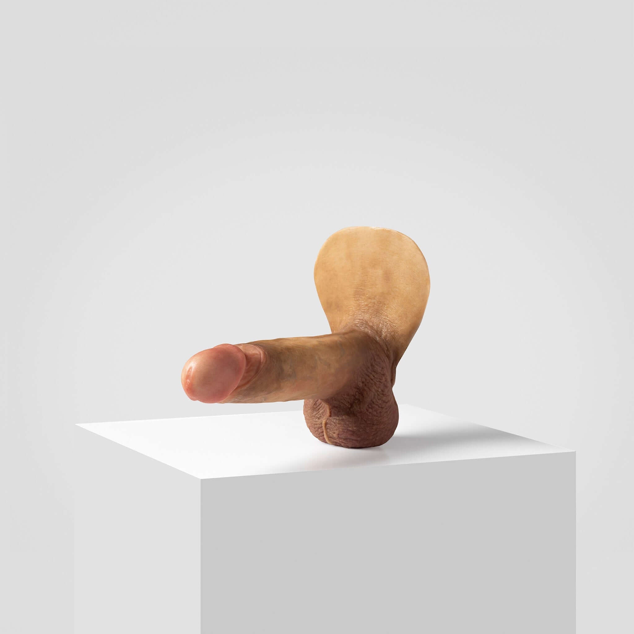 Emisil ER08 | Artist Edition Pack & Play Model — S10