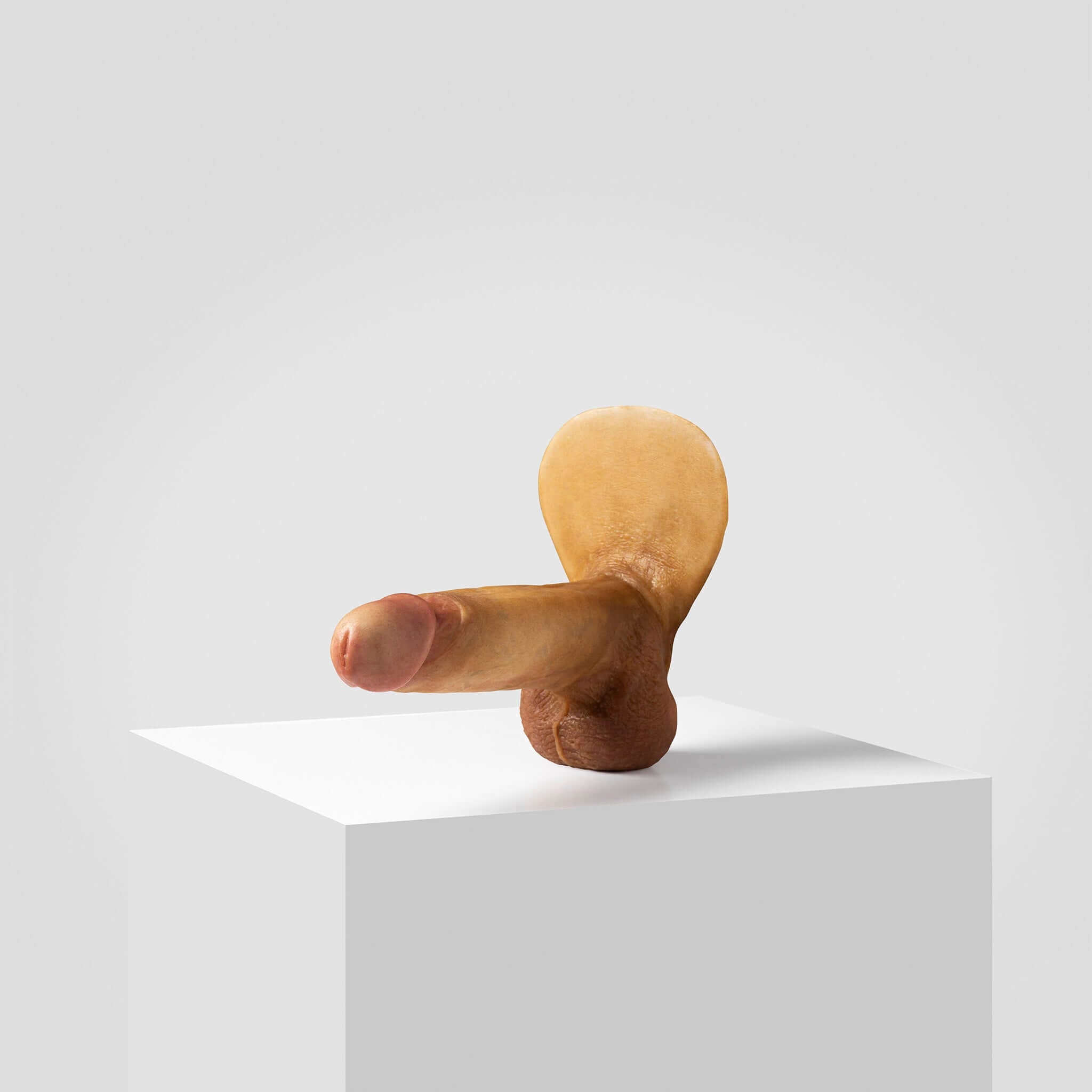 Emisil ER08 | Artist Edition Pack & Play Model — S05