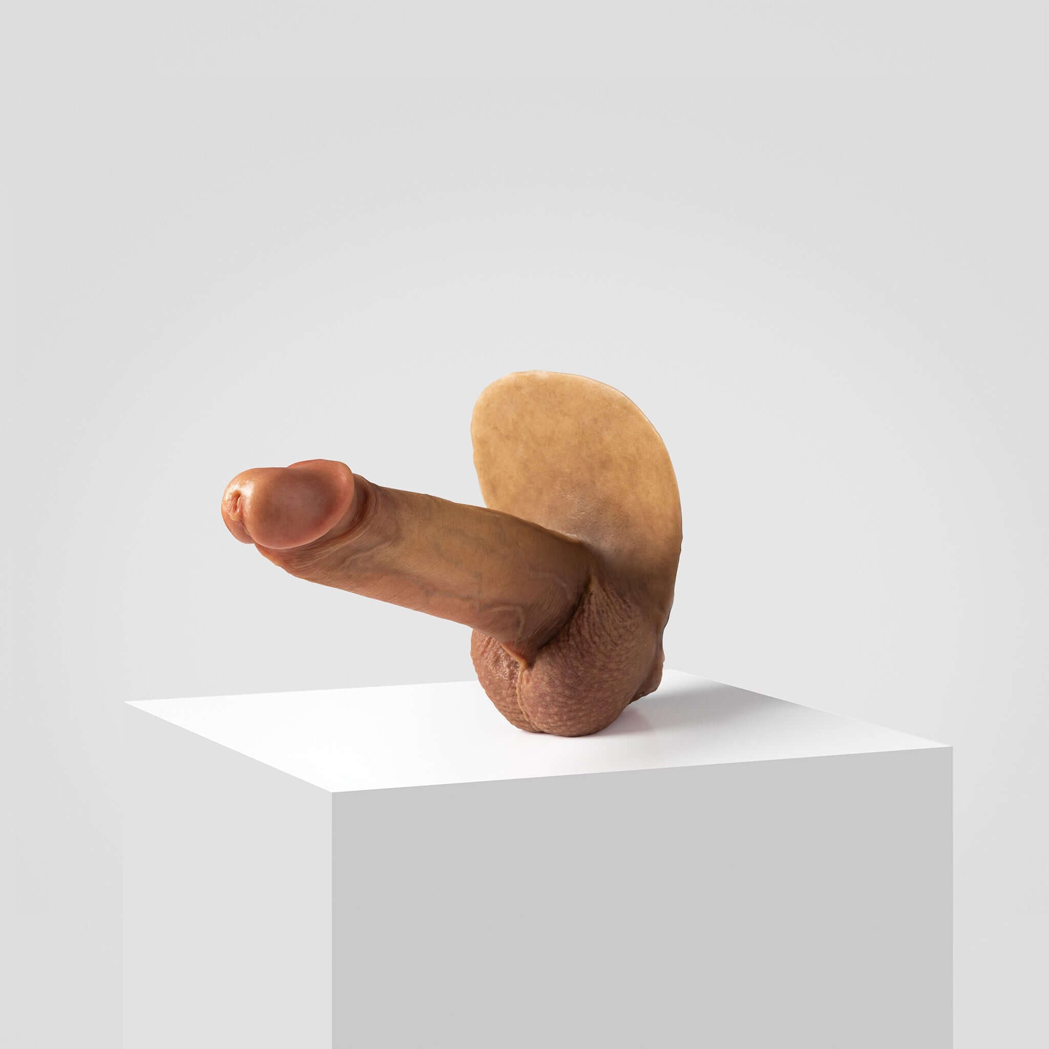 Emisil ER07 | Large Realistic FTM Pack & Play Model — S10