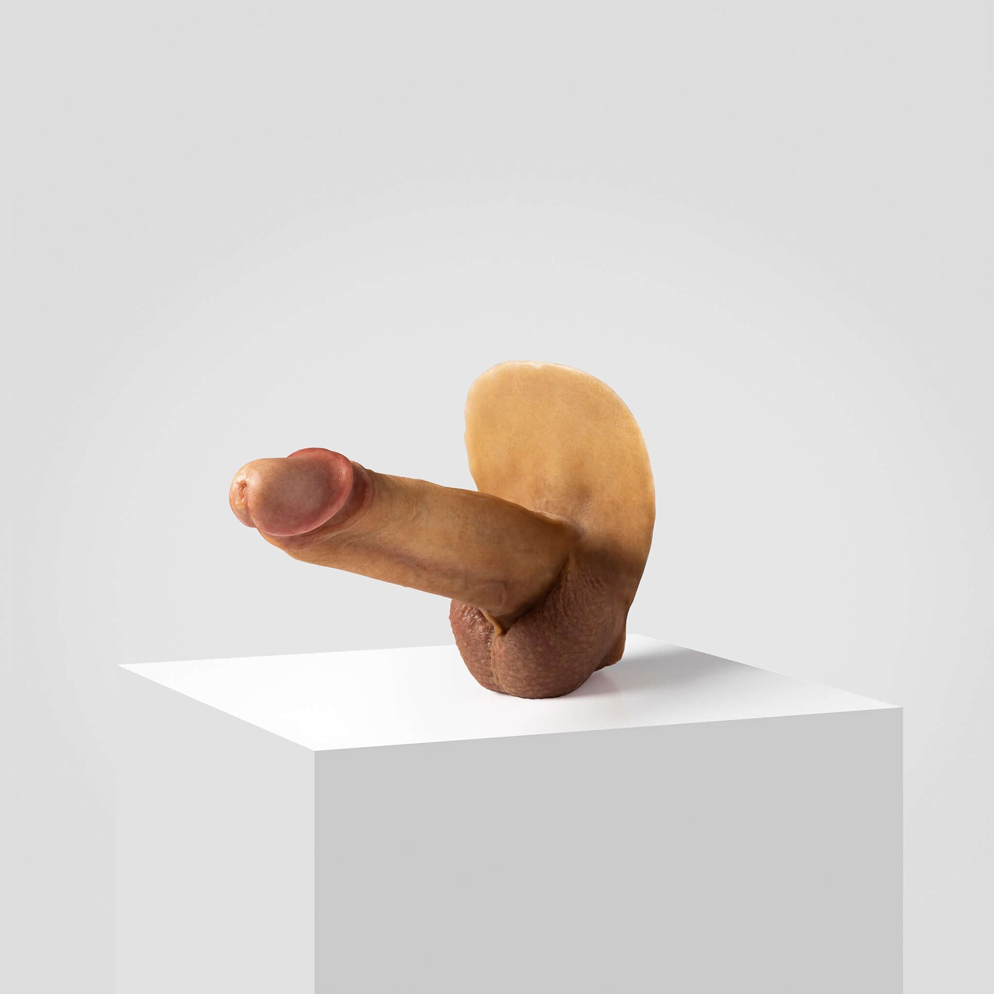Emisil ER07 | Large Realistic FTM Pack & Play Model — S05