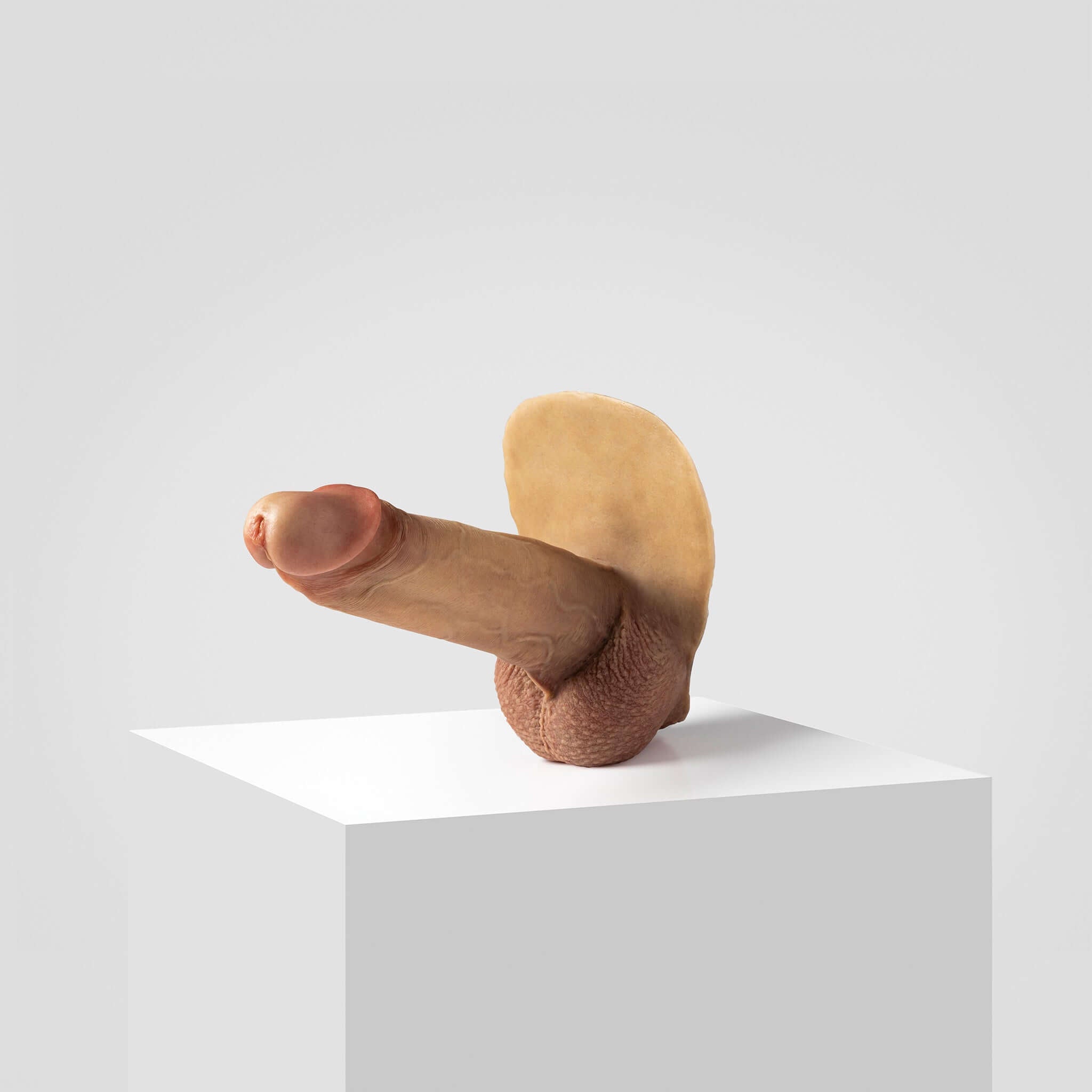 Emisil ER07 | Large Realistic FTM Pack & Play Model — S07