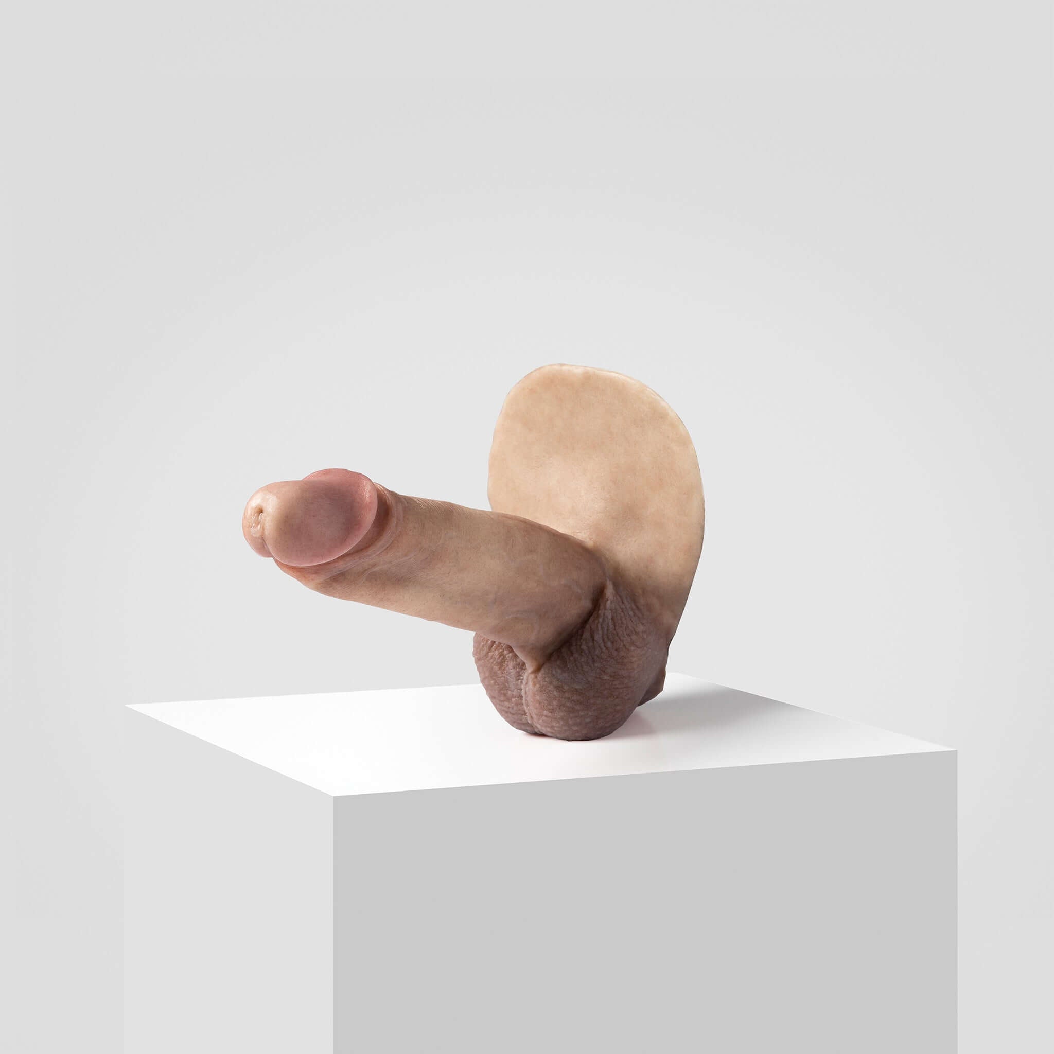 Emisil ER07 | Large Realistic FTM Pack & Play Model — S08