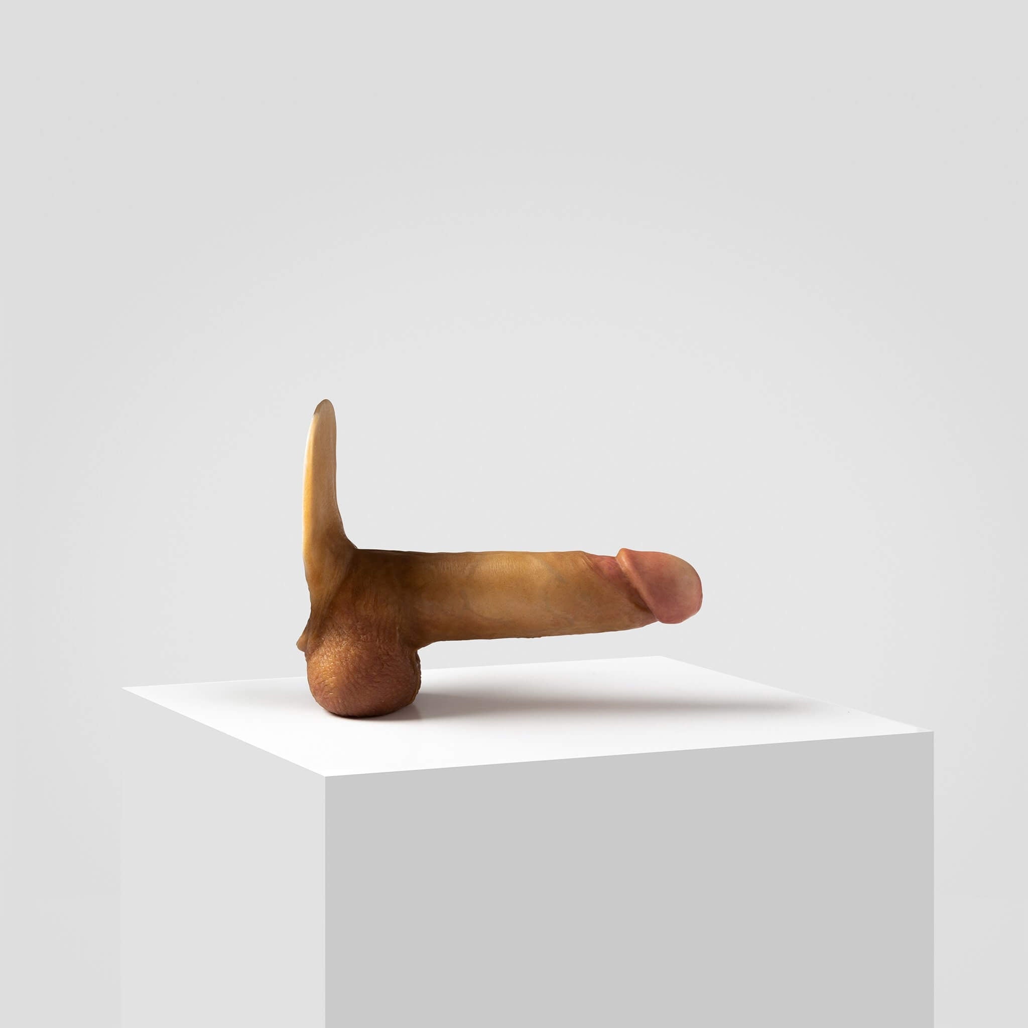 Emisil ER08 | Artist Edition Pack & Play Model