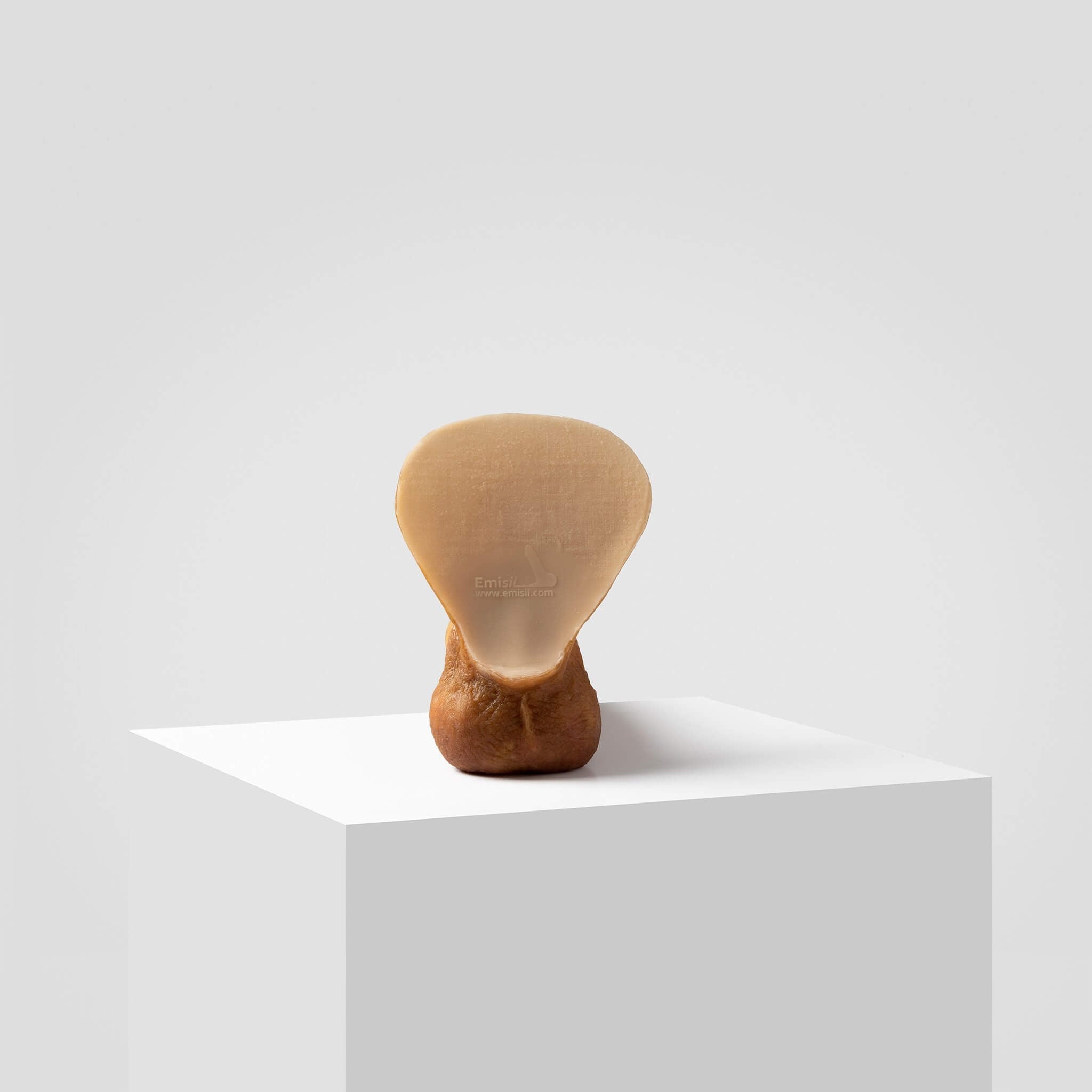 Emisil ER08 | Artist Edition Pack & Play Model