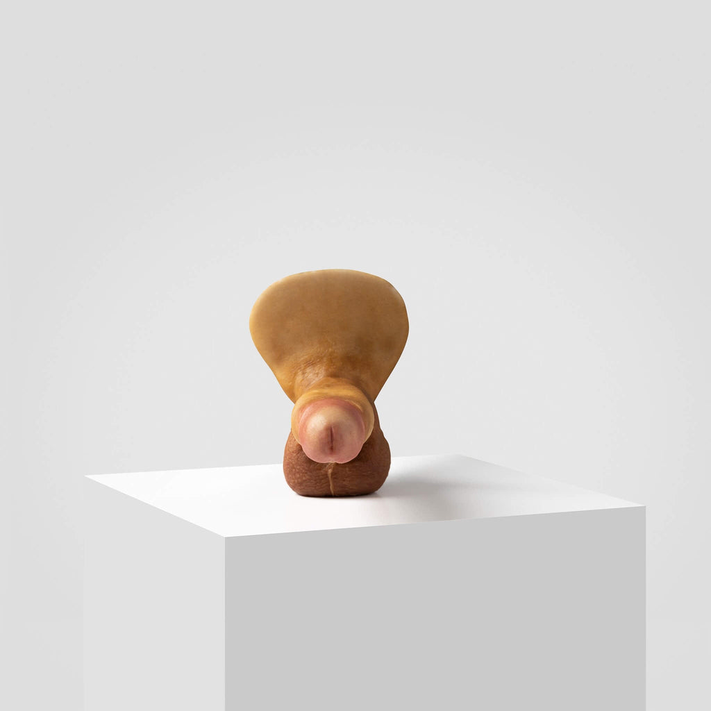 Emisil ER08 | Artist Edition Pack & Play Model