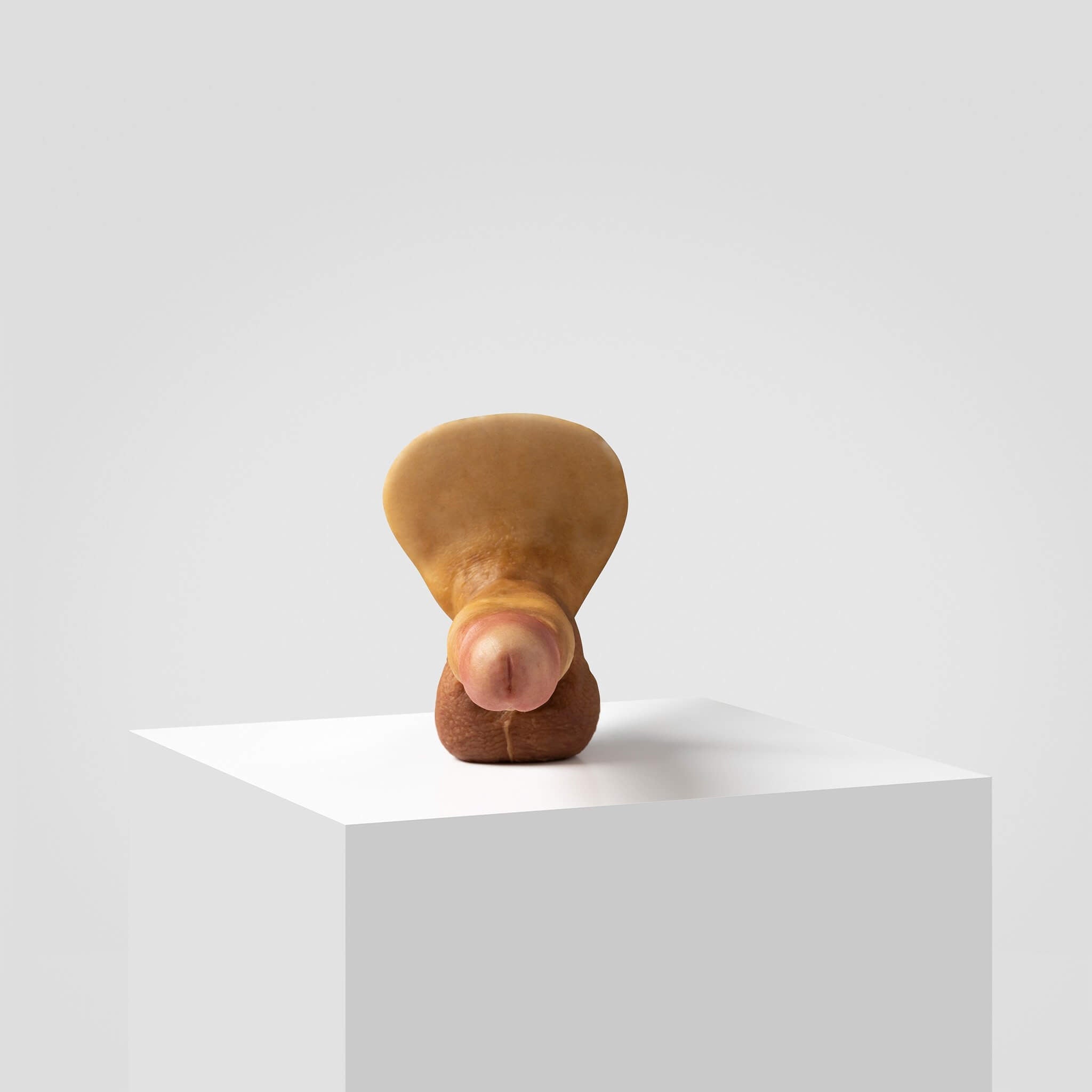 Emisil ER08 | Artist Edition Pack & Play Model