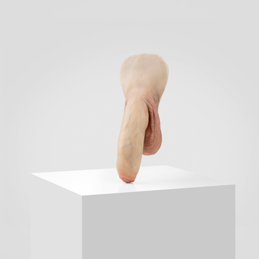 Emisil FL11 | Realistic Uncut FTM Packing Model — S01