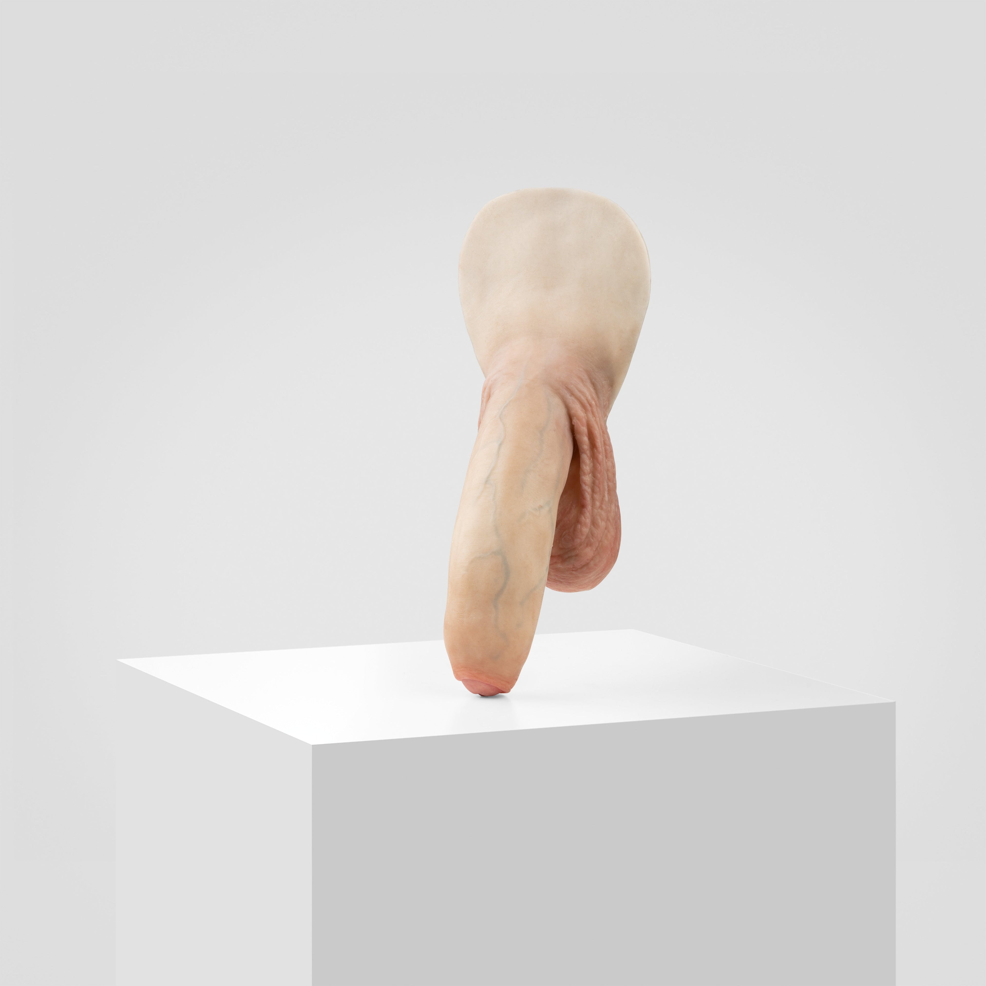 Emisil FL11 | Realistic Uncut FTM Packing Model — S02