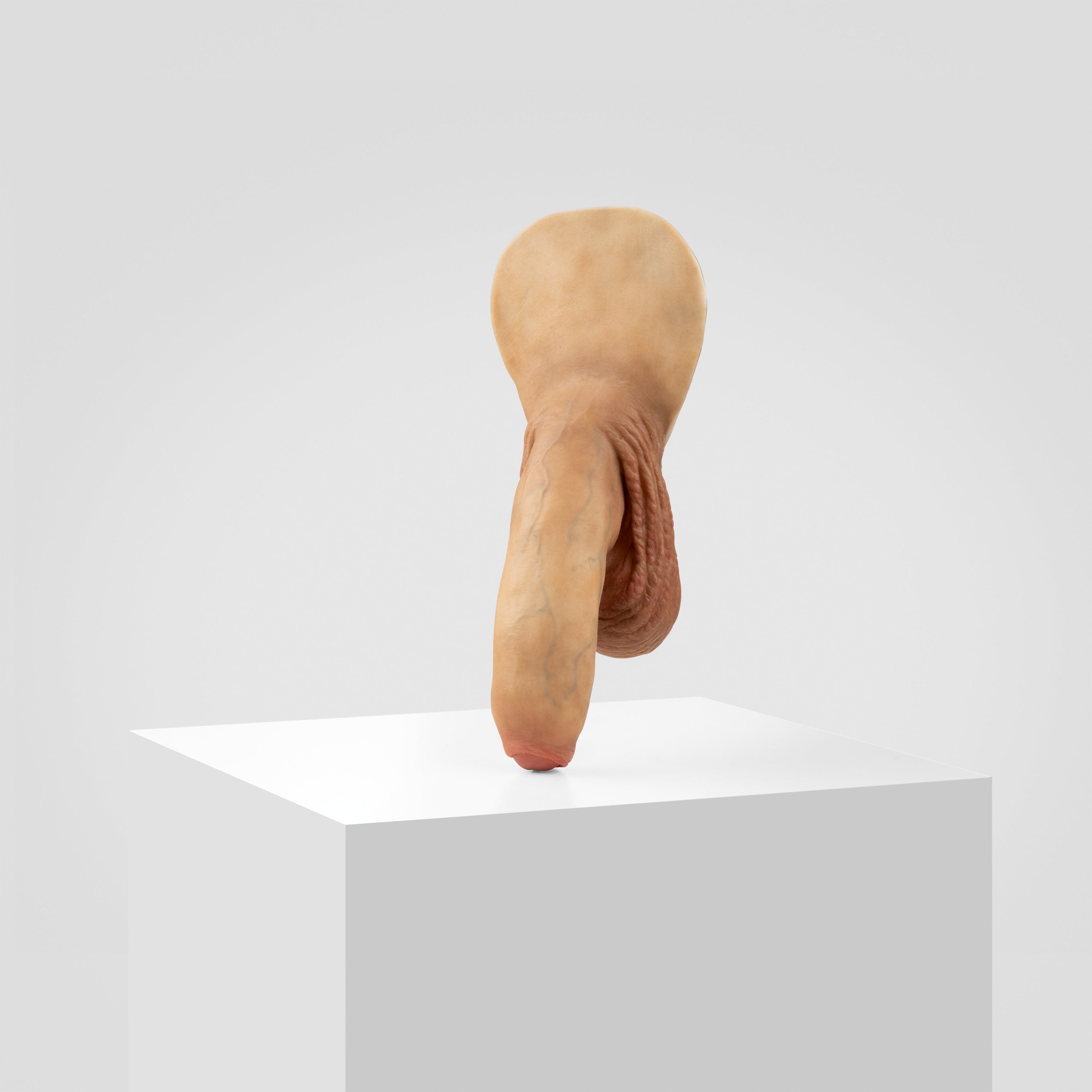 Emisil FL11 | Realistic Uncut FTM Packing Model — S04