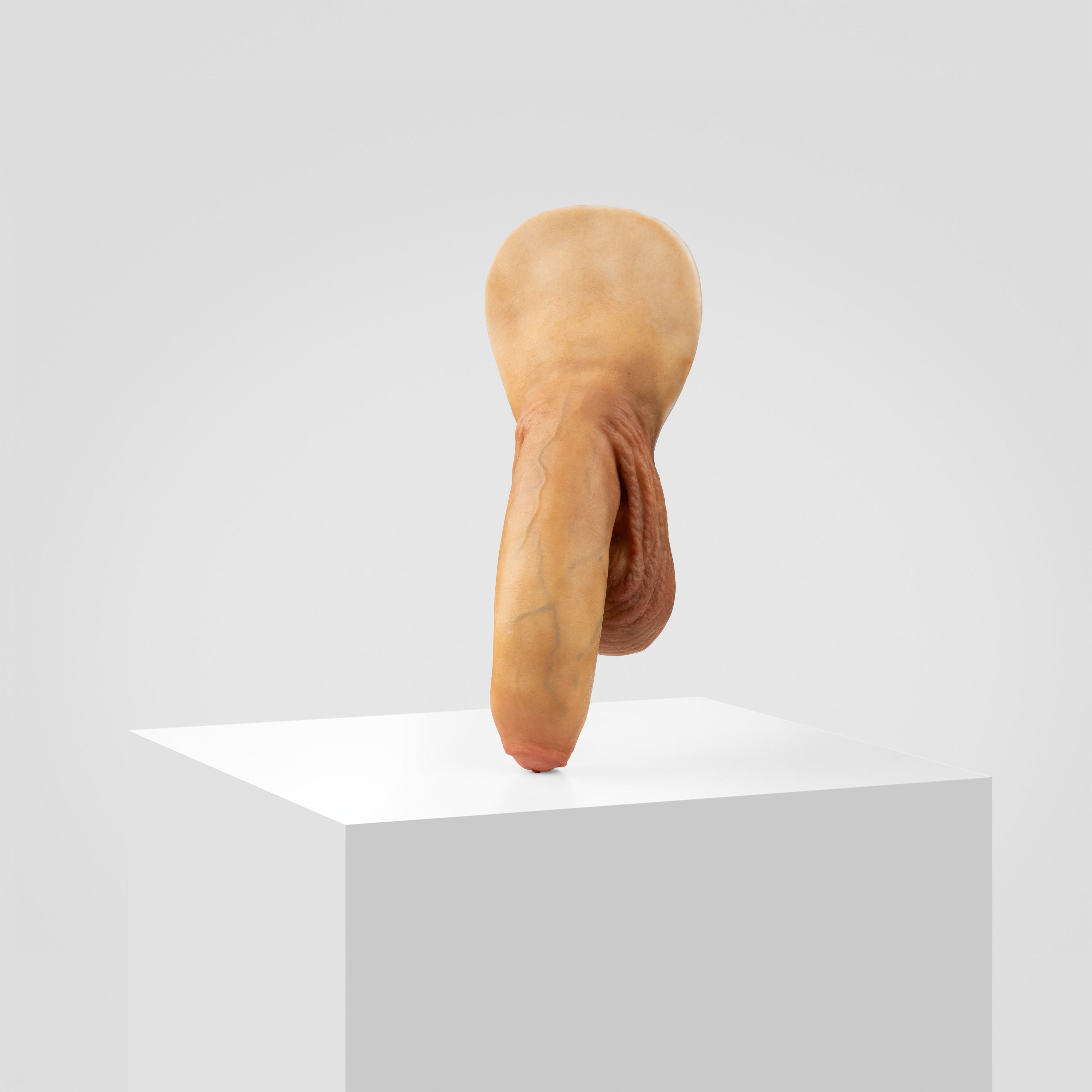 Emisil FL11 | Realistic Uncut FTM Packing Model — S05