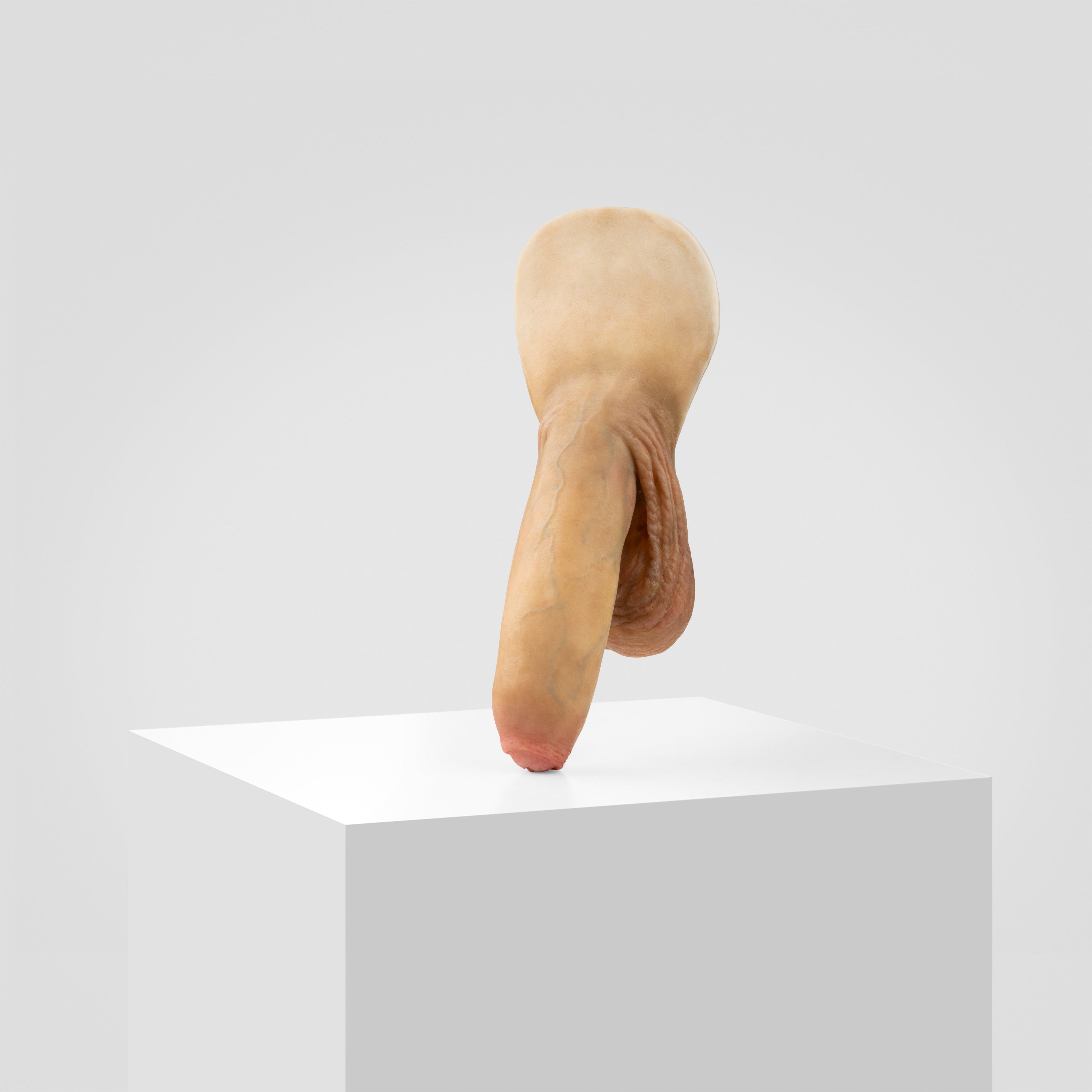 Emisil FL11 | Realistic Uncut FTM Packing Model — S06
