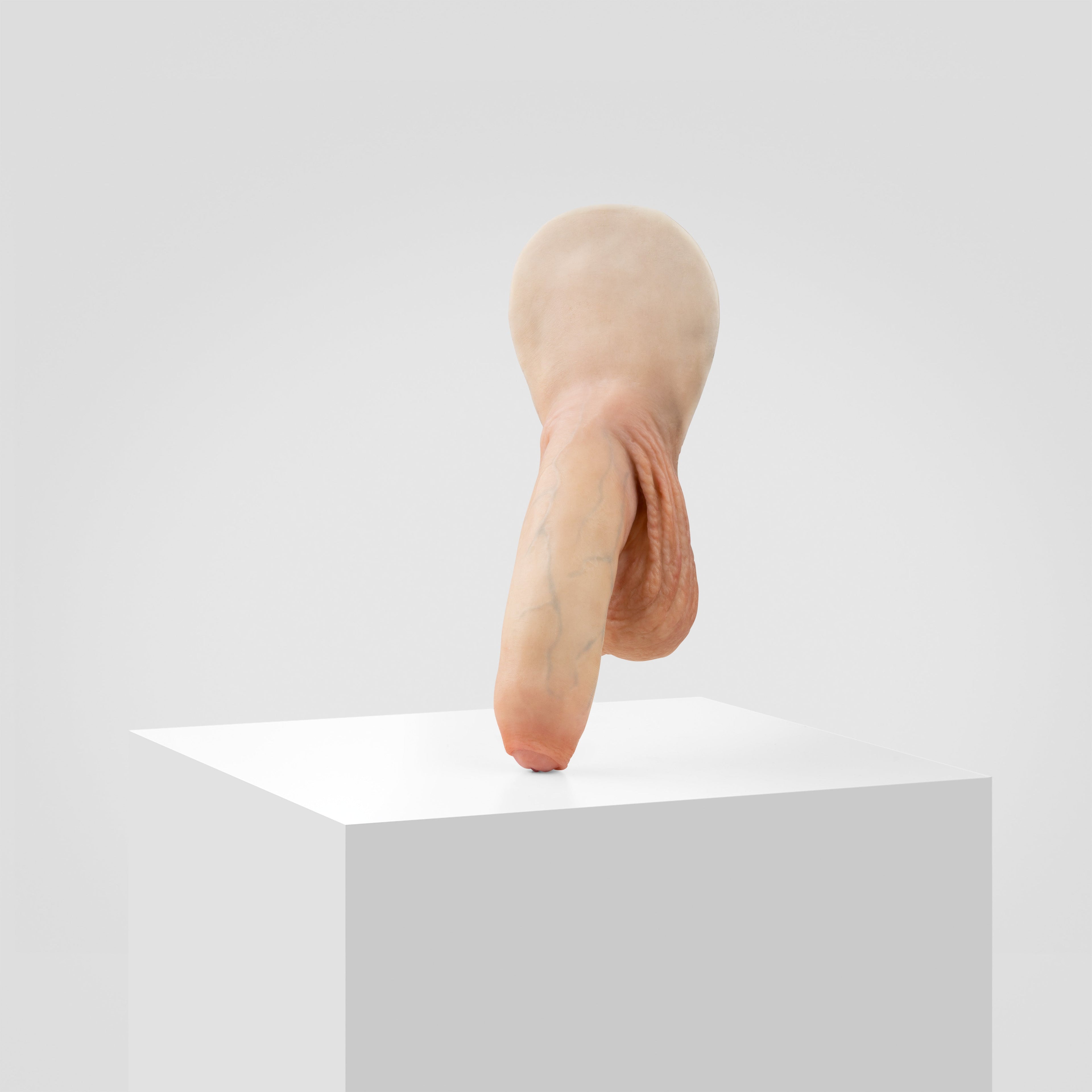 Emisil FL11 | Realistic Uncut FTM Packing Model — S08
