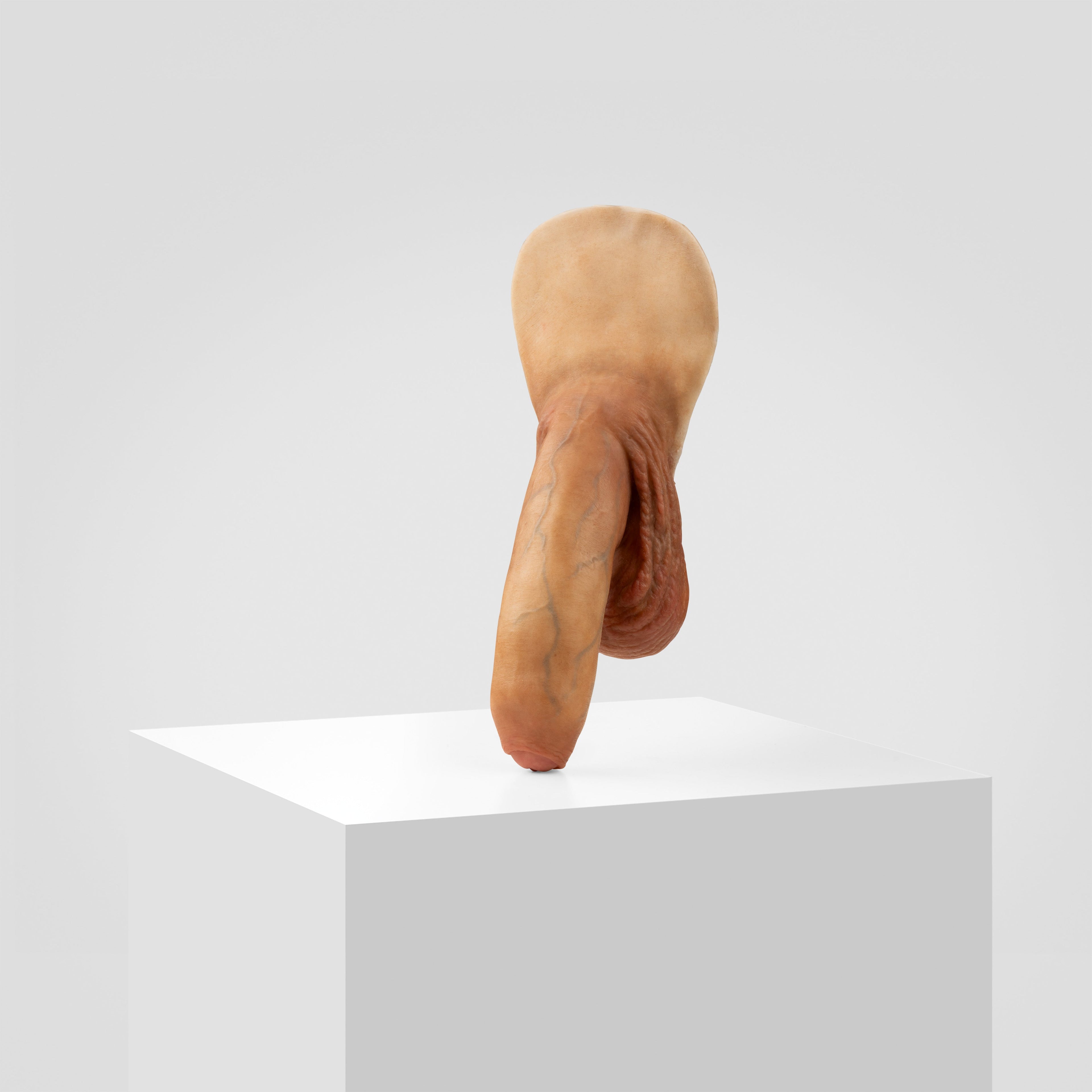 Emisil FL11 | Realistic Uncut FTM Packing Model — S10